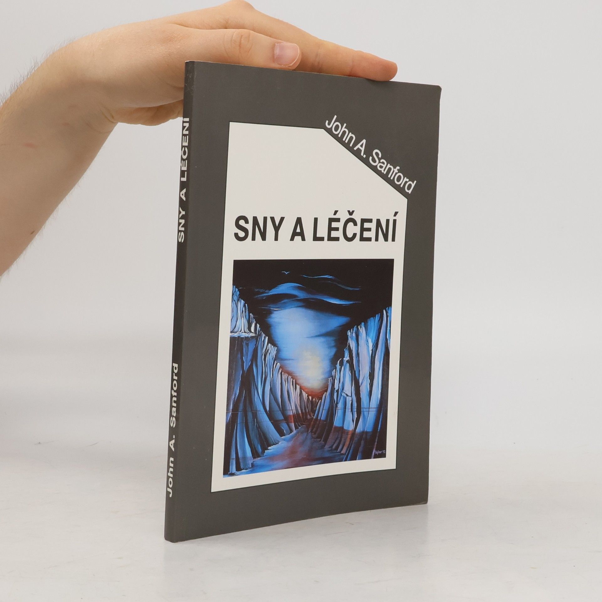John A. Sanford Sny a léčení. Stručný a živý výklad snů