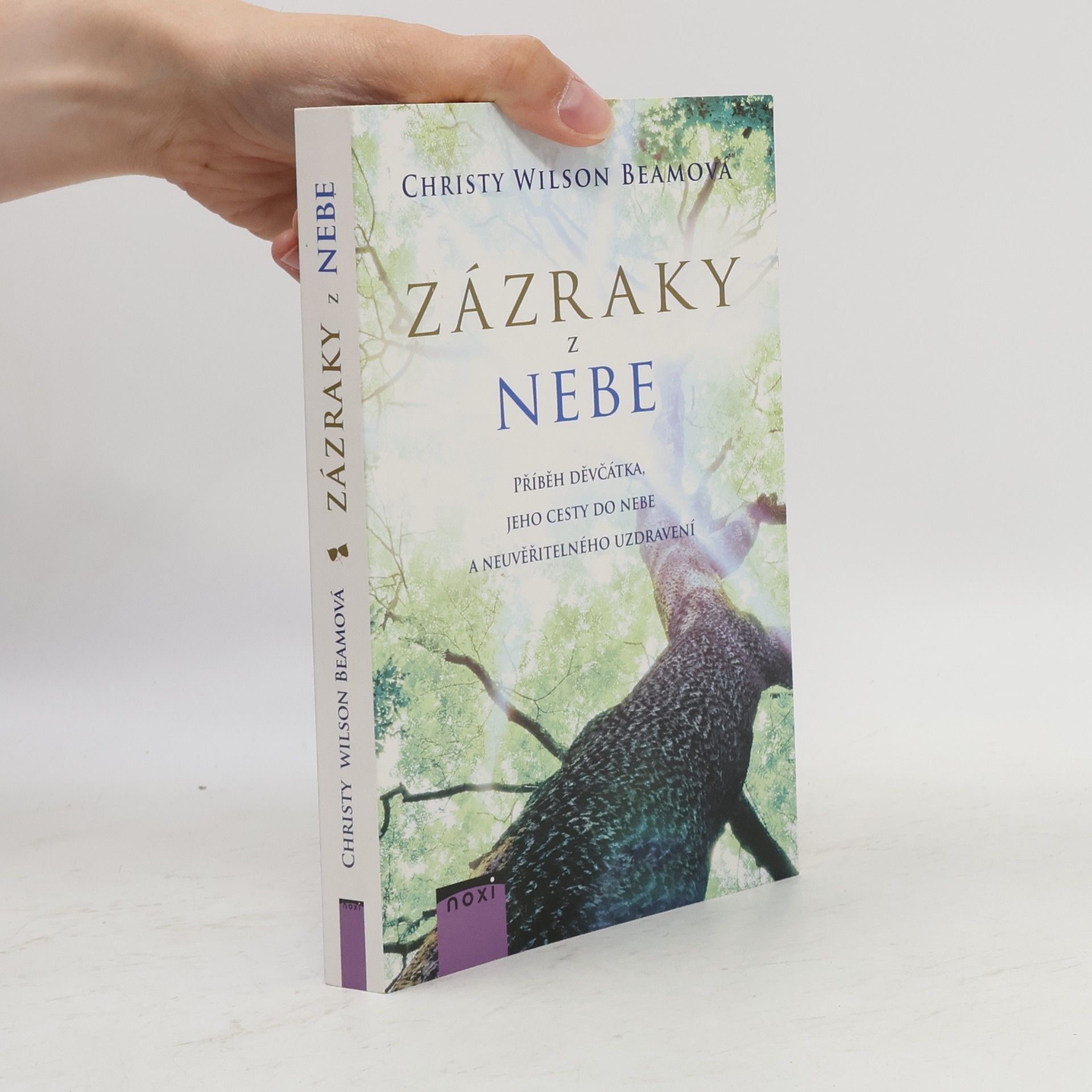 Christy Wilson Beam Zázraky z nebe