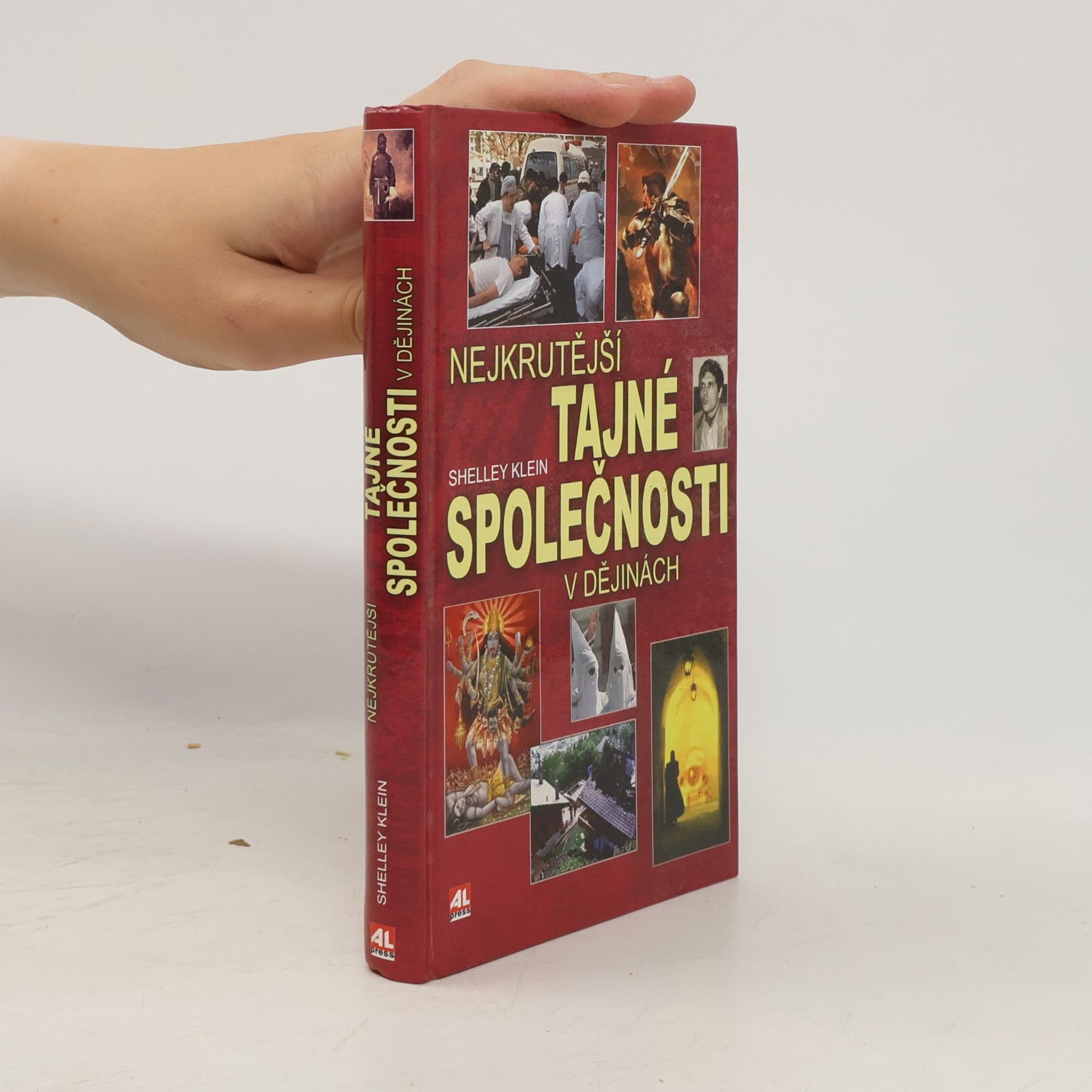 Shelley Klein Nejkrutější tajné společnosti v dějinách