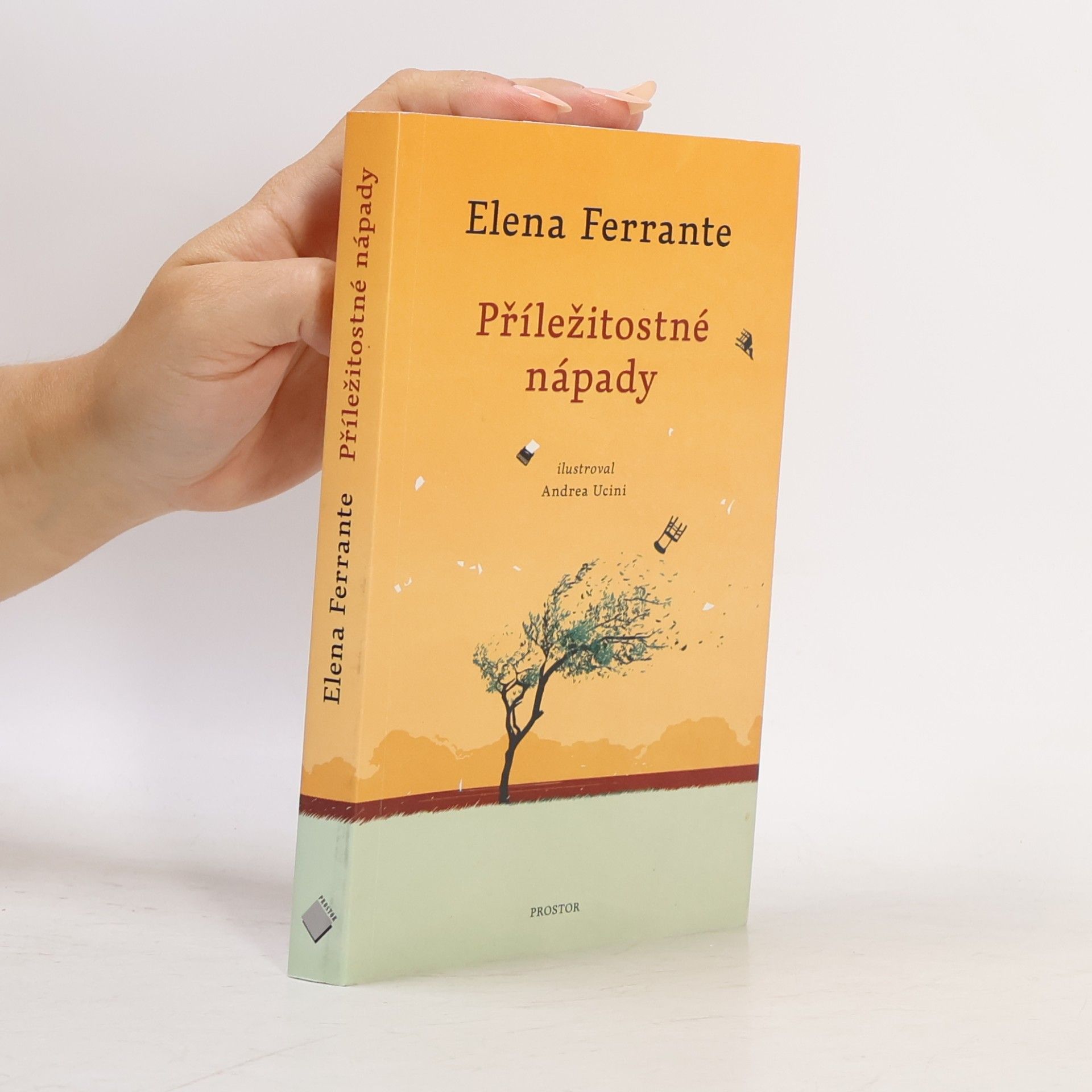 Elena Ferrante Příležitostné nápady