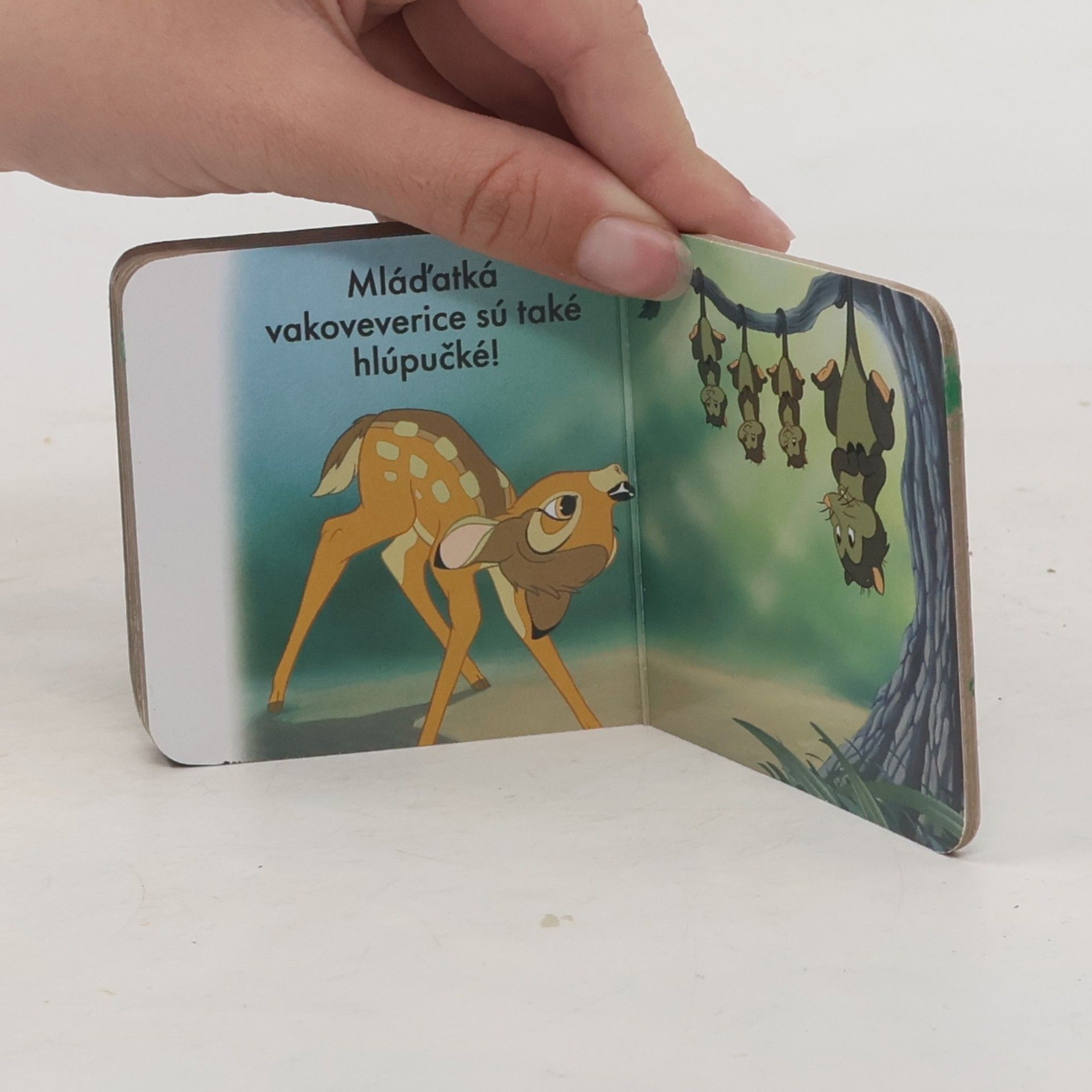 Kolektiv autorů Mláďatká
