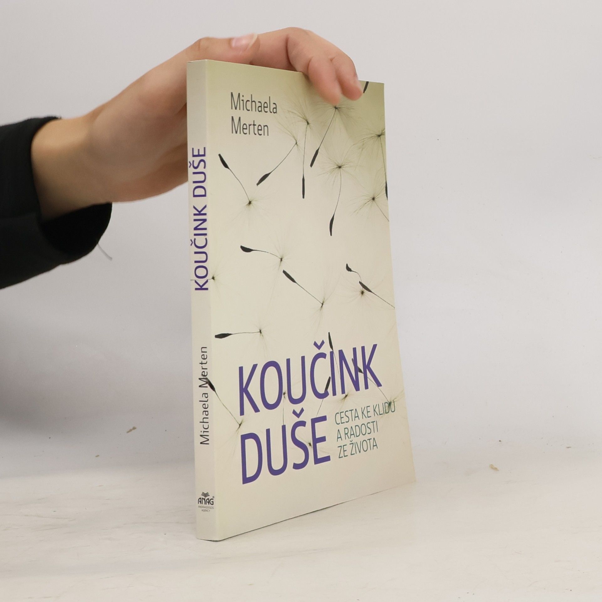 Michaela Merten Koučink duše : cesta ke klidu a radosti ze života
