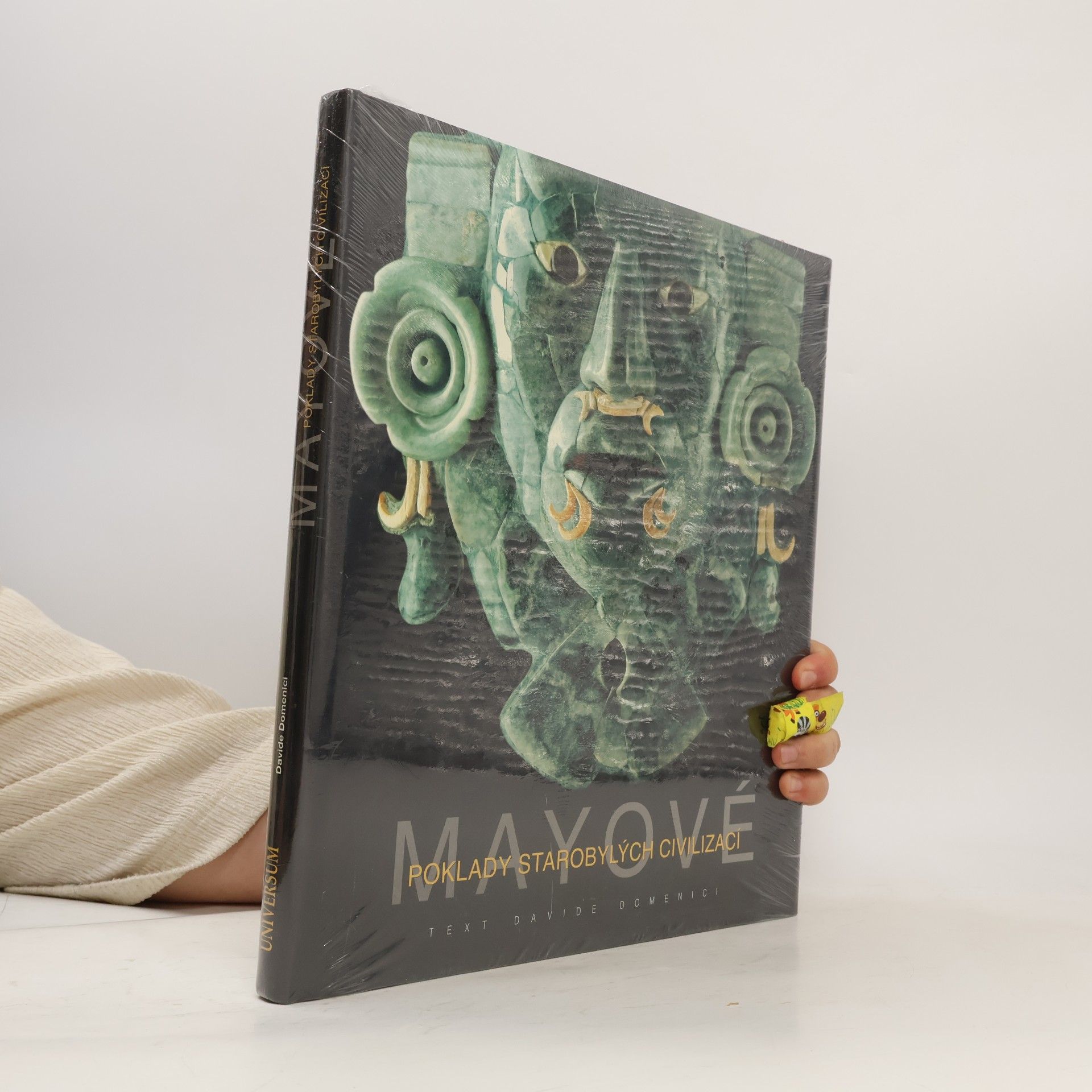 Davide Domenici Mayové. Poklady starobylých civilizací