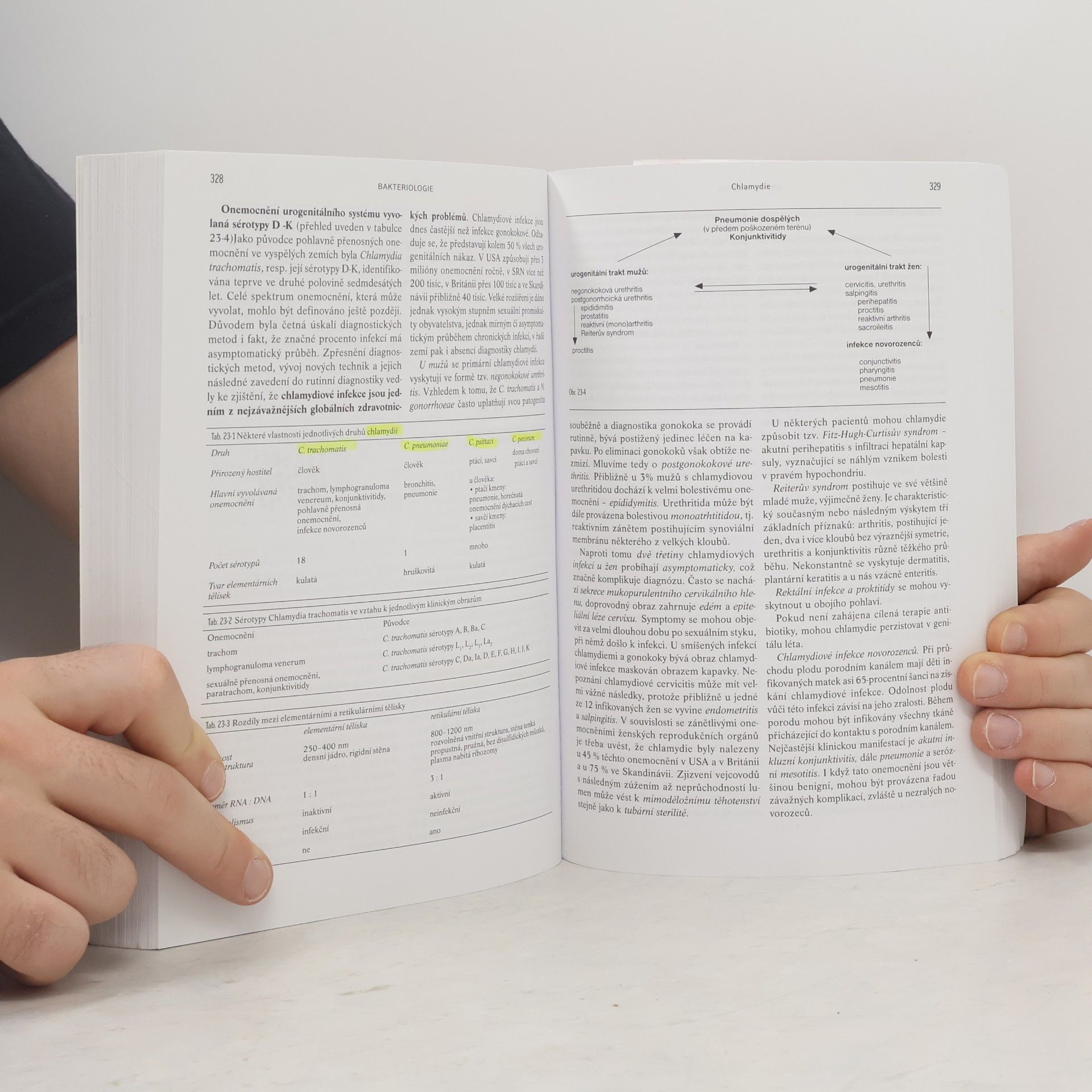 Kolektiv autorů Lékařská Mikrobiologie