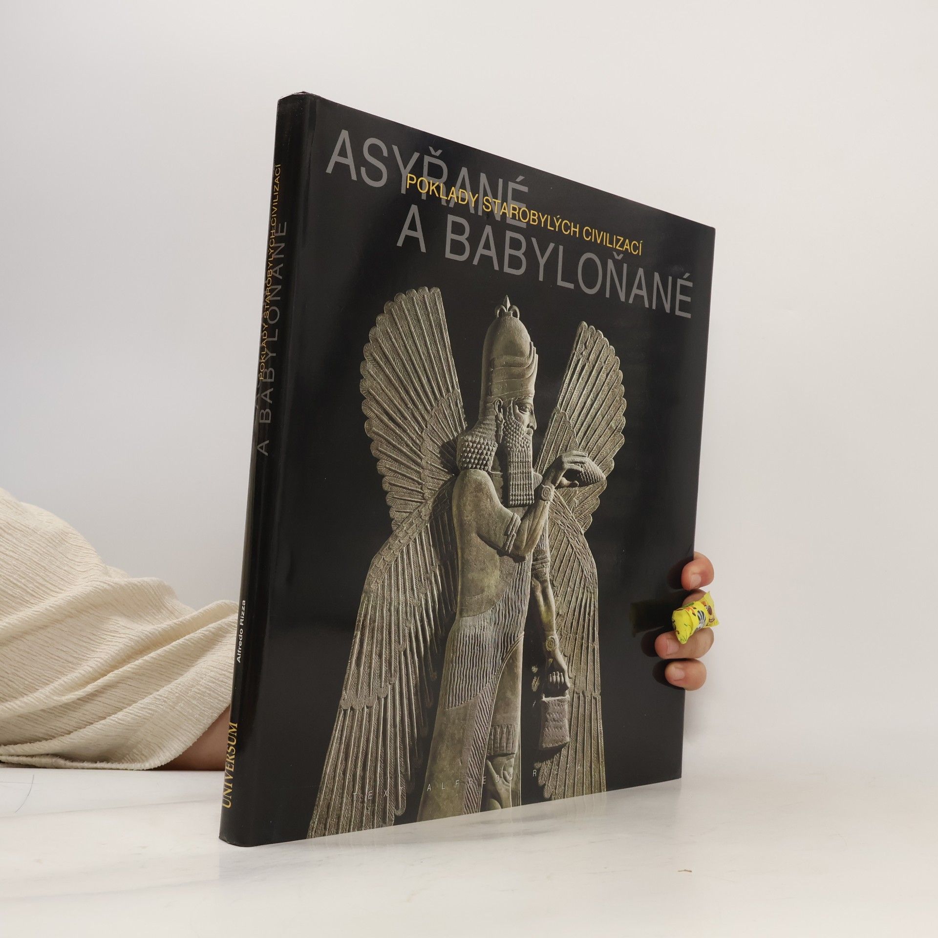 Alfredo Rizza Asyřané a Babyloňané - Poklady starobylých civilizací