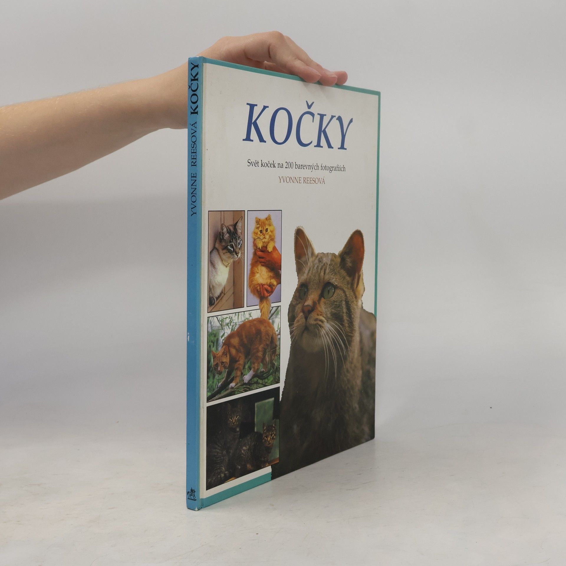 Yvone Rees Kočky
