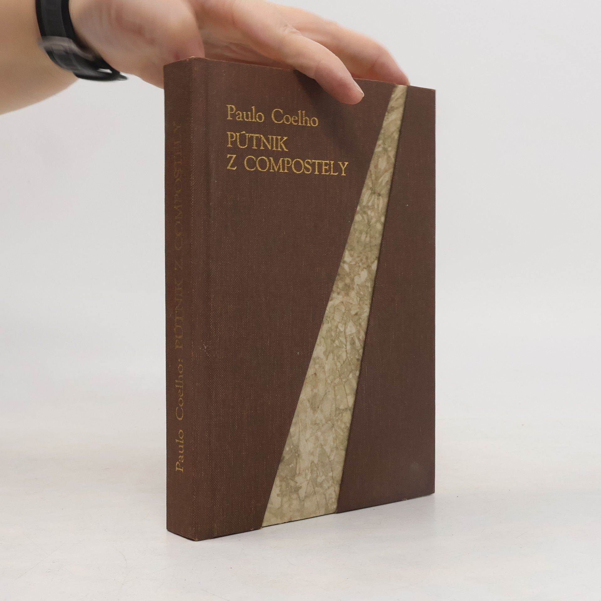Paulo Coelho Pútnik z Compostely