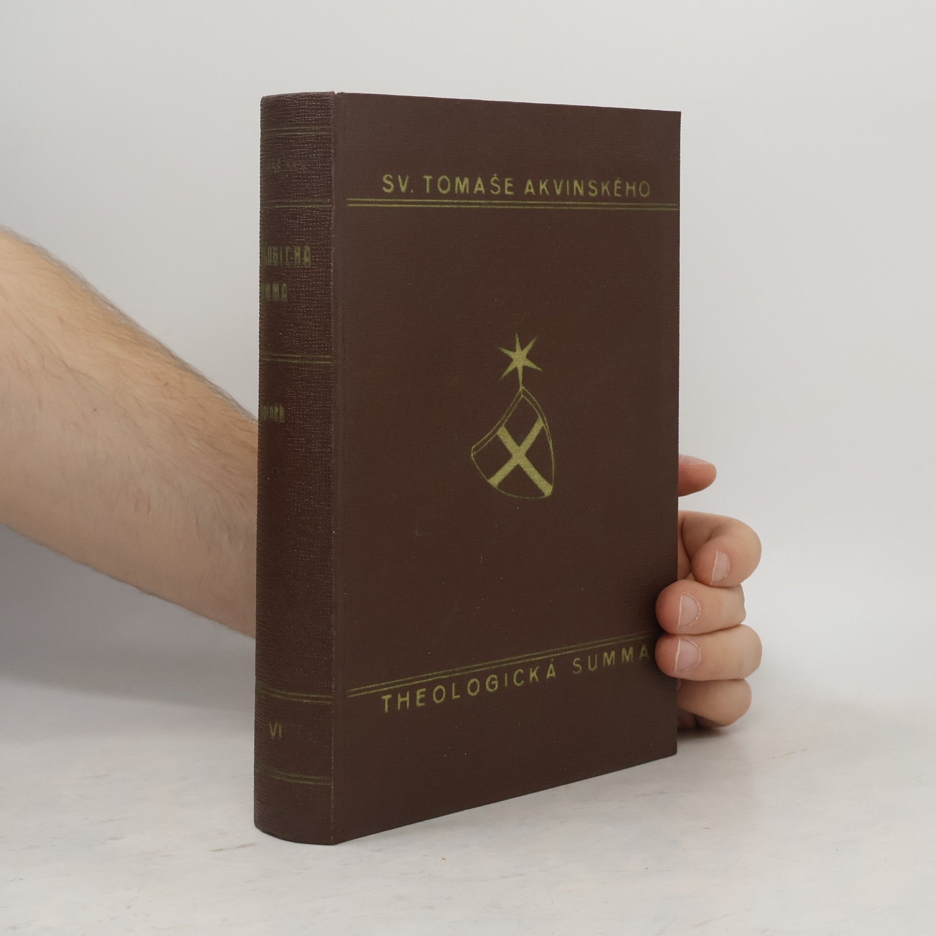 P. Emilián Soukup Theologická summa VI. Theologické summy Svatého Tomáše Akvinského