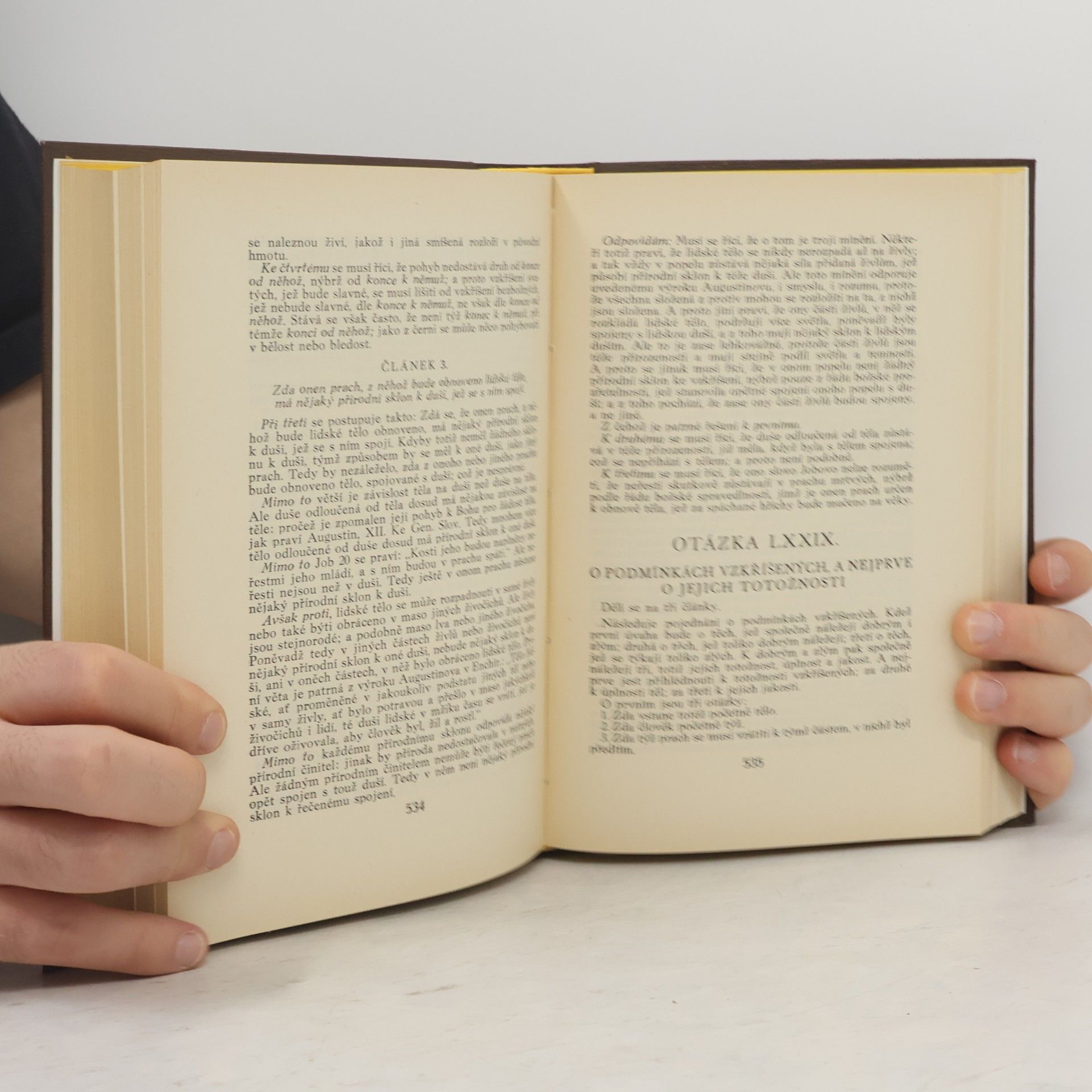 sv. Tomáš Akvinský Theologická summa VI. Theologické summy Svatého Tomáše Akvinského
