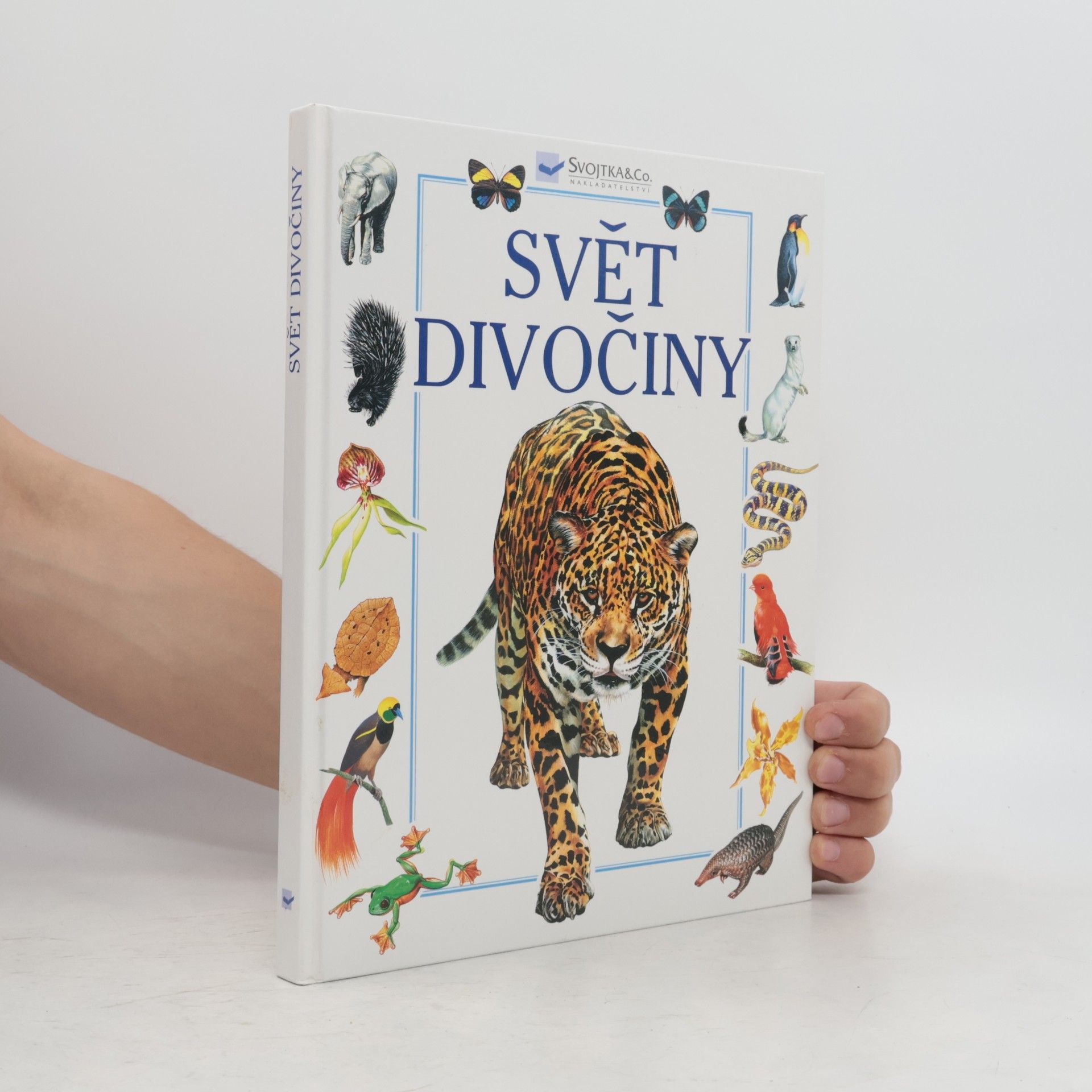 Andrew Dixon Svět divočiny