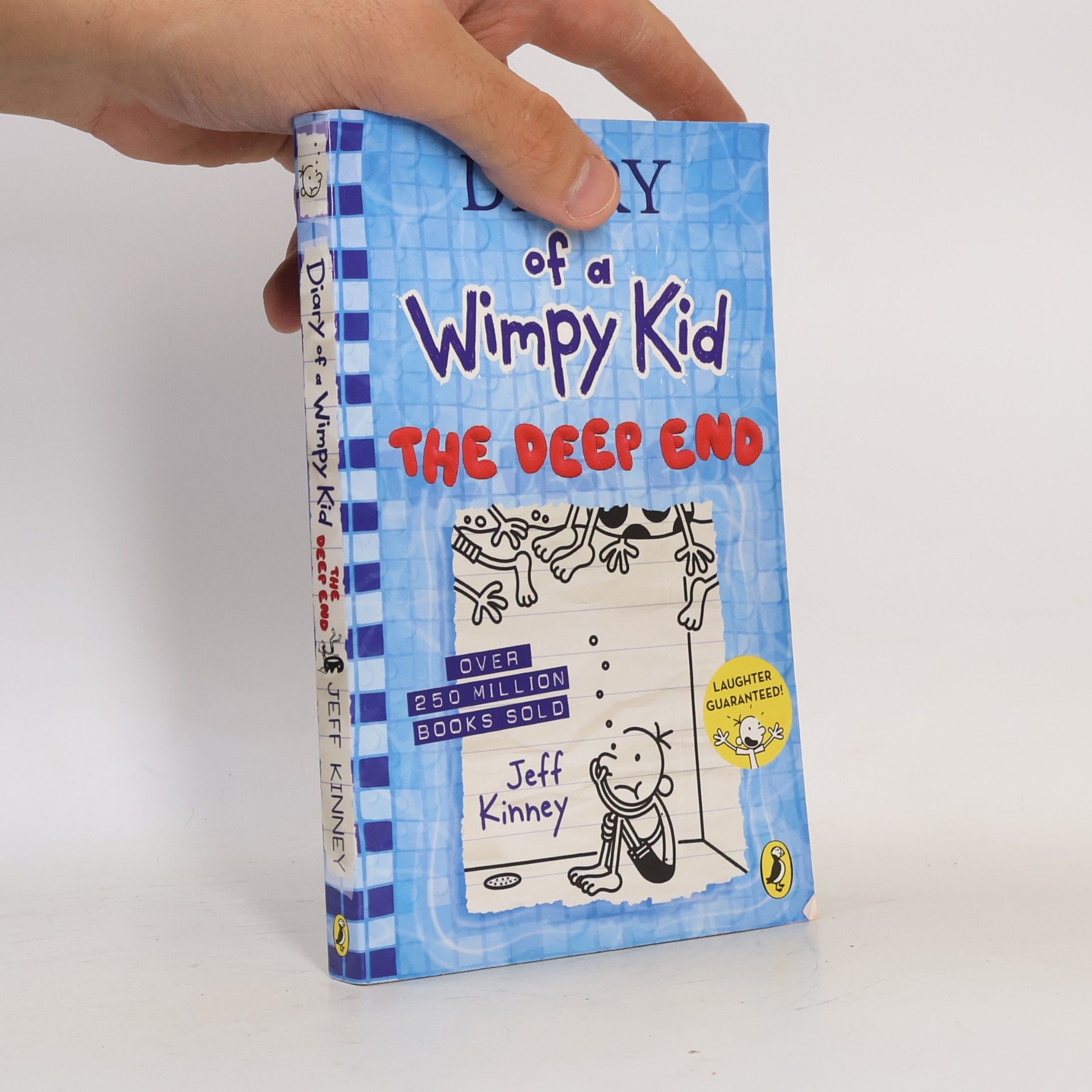 Jeff Kinney Diary of a Wimpy Kid 15: The Deep End