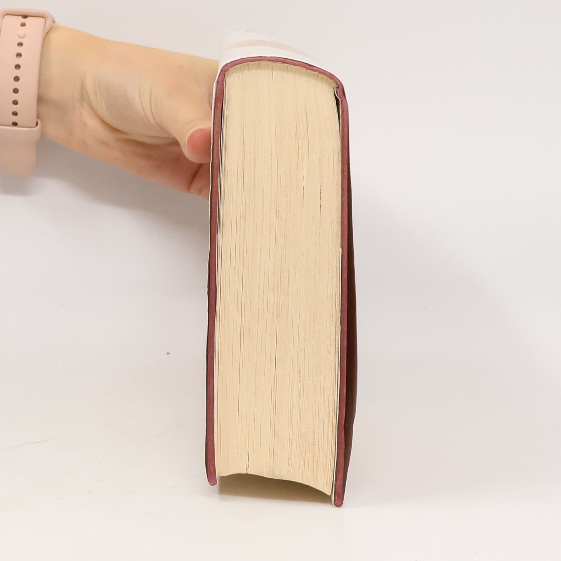 Danielle Steel Sternenfeuer