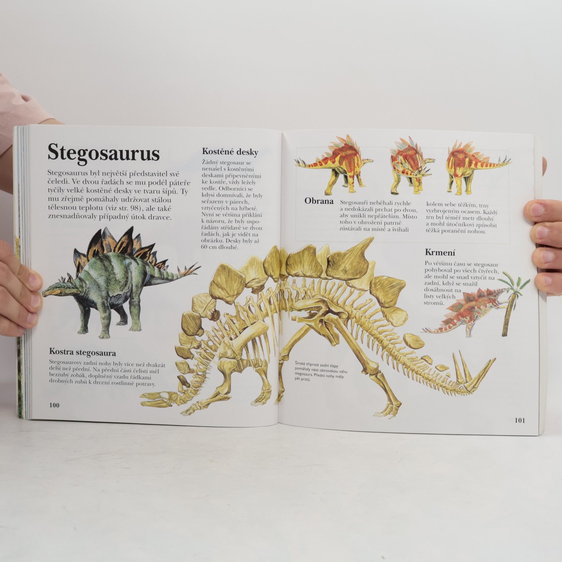 Jinny Johnson Dinosauři: nalepovací encyklopedie