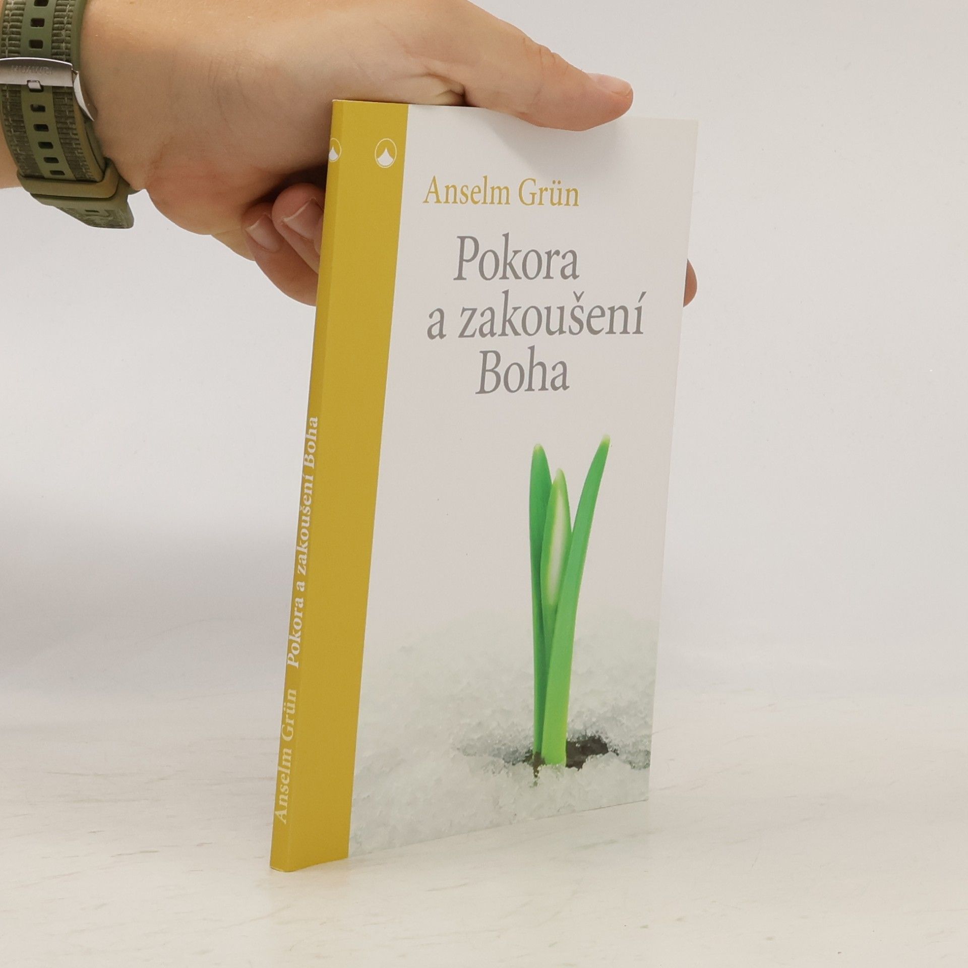 Anselm Grün Pokora a zakoušení Boha