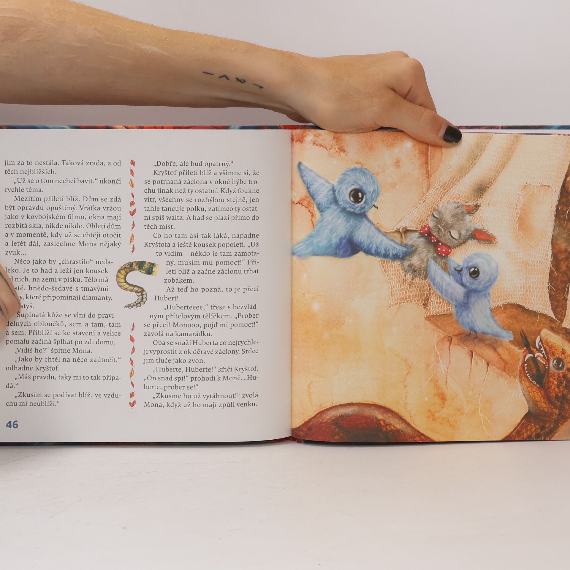 Dana Chladová Nezbednice Mona