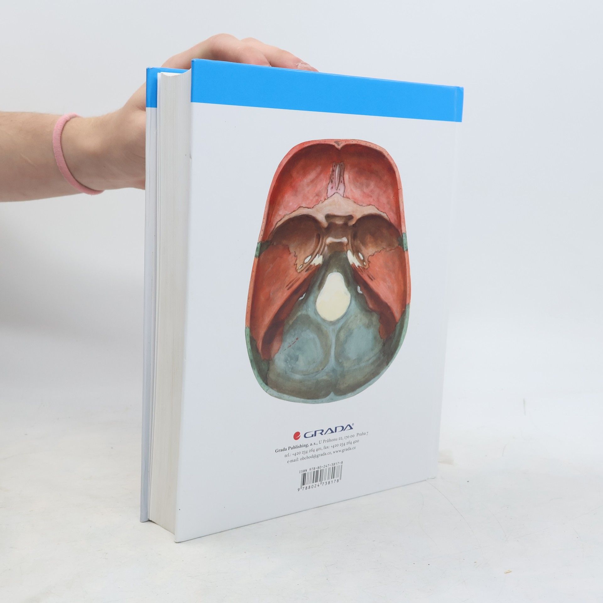 Oldřich Fejfar Anatomie 1