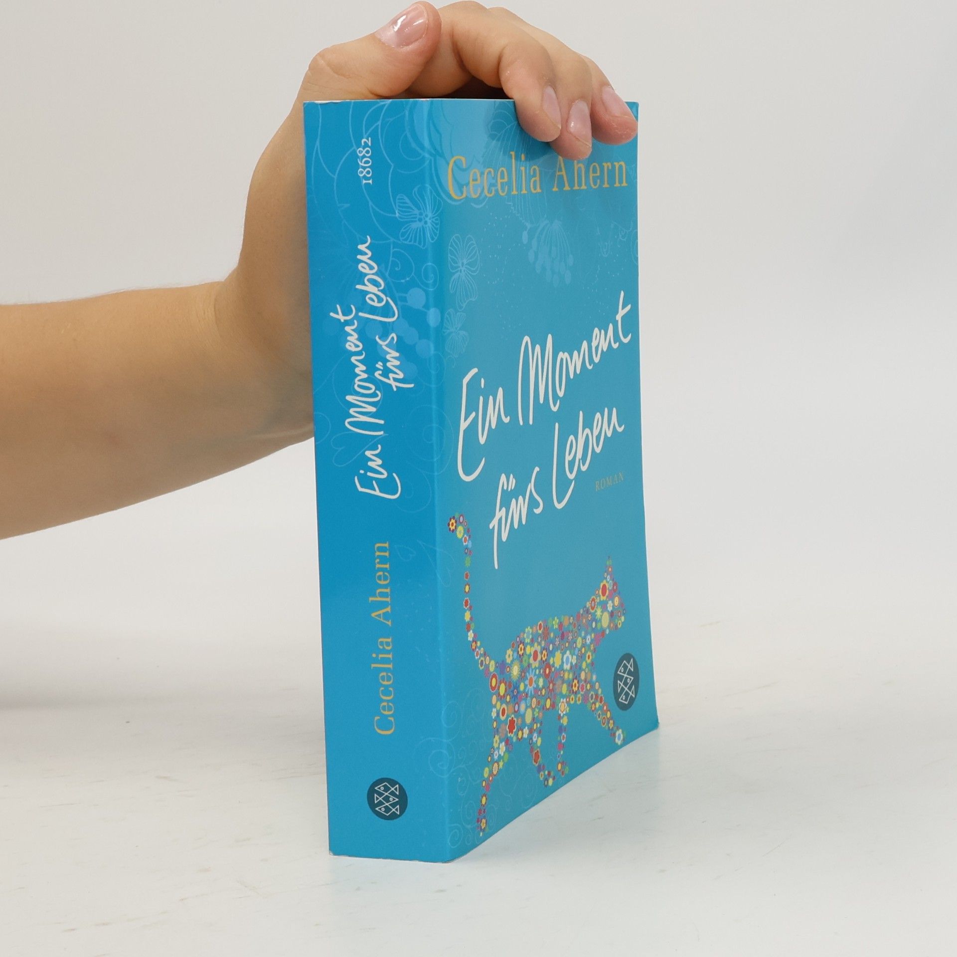 Cecelia Ahern Ein Moment fürs Leben