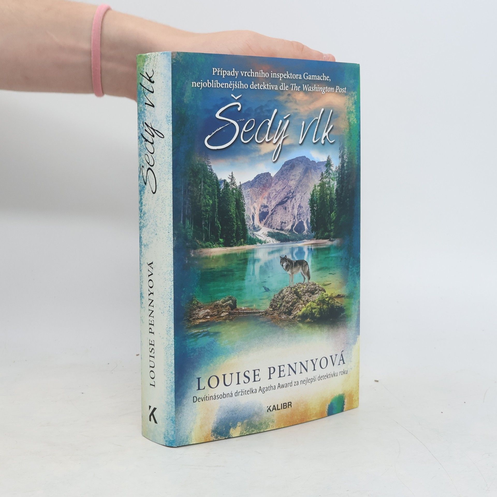 Louise Penny Šedý vlk