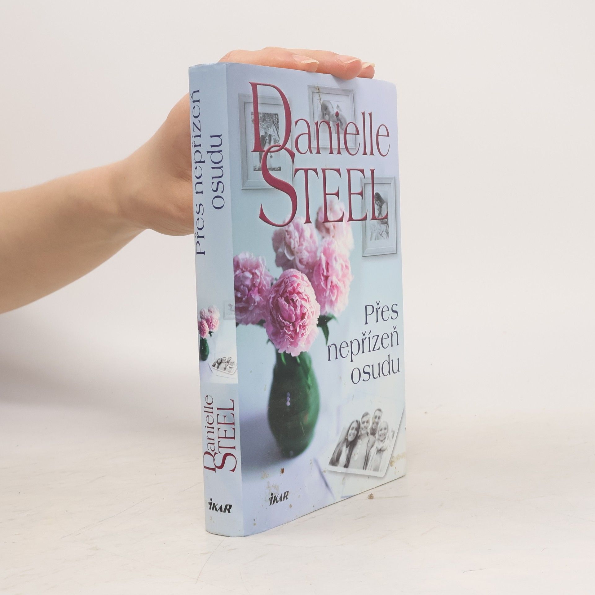 Danielle Steel Přes nepřízeň osudu