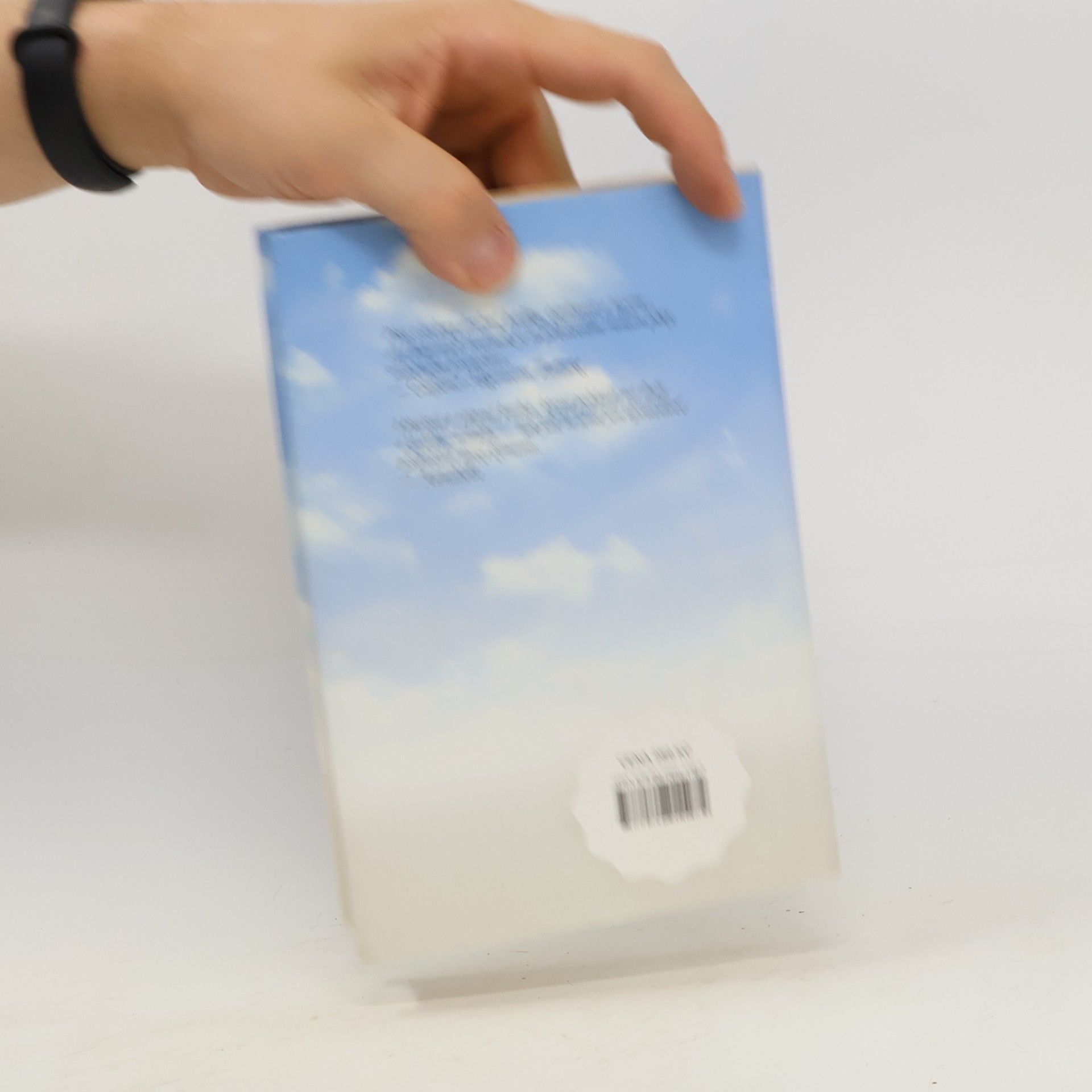 Monika Peetz Úterní ženy mezi bylinami a řepou
