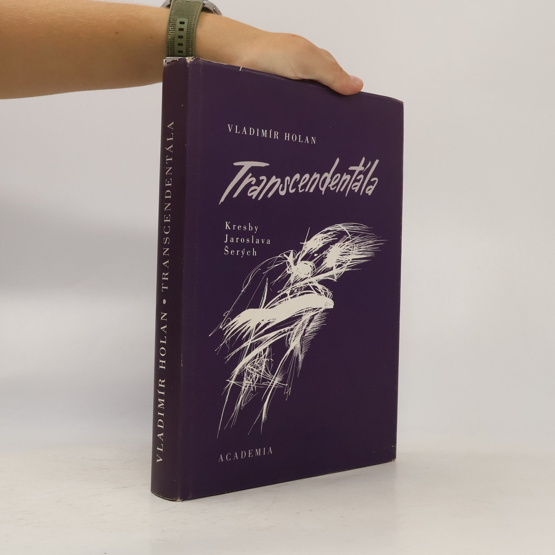 Jaroslav Havel Transcendentála: Výbor z díla