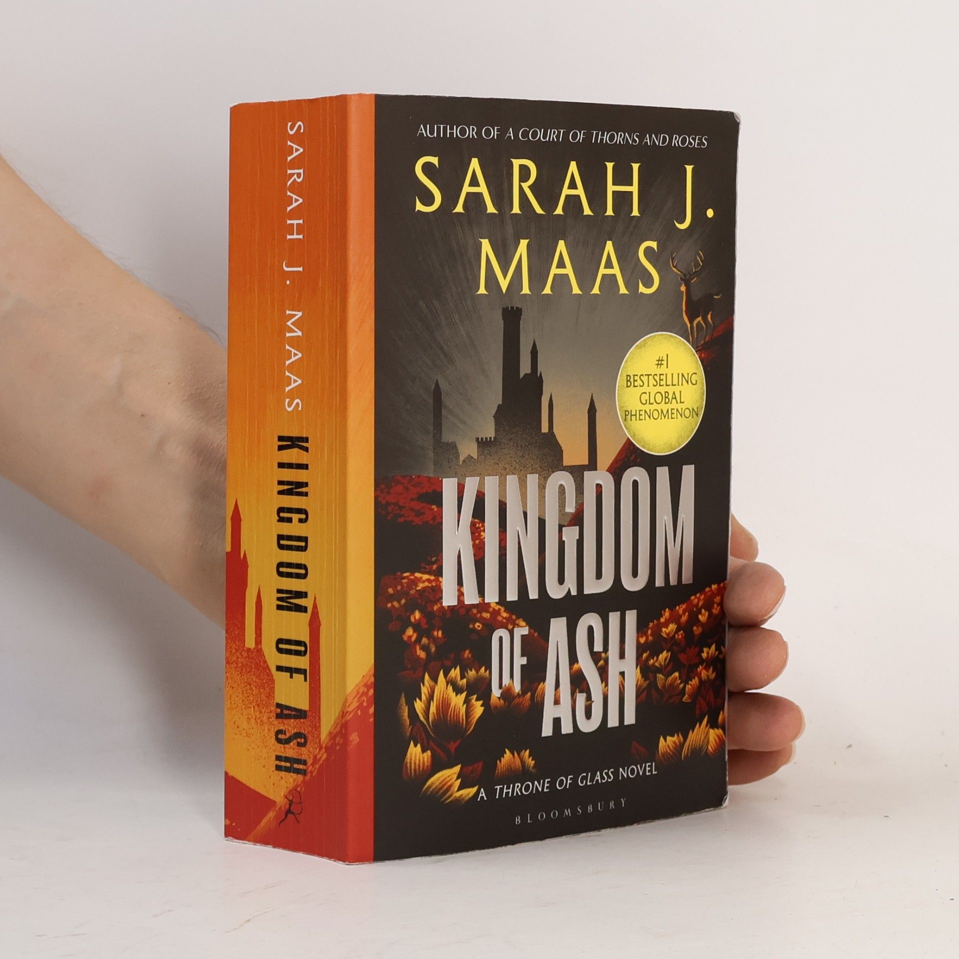 Kingdom of Ash