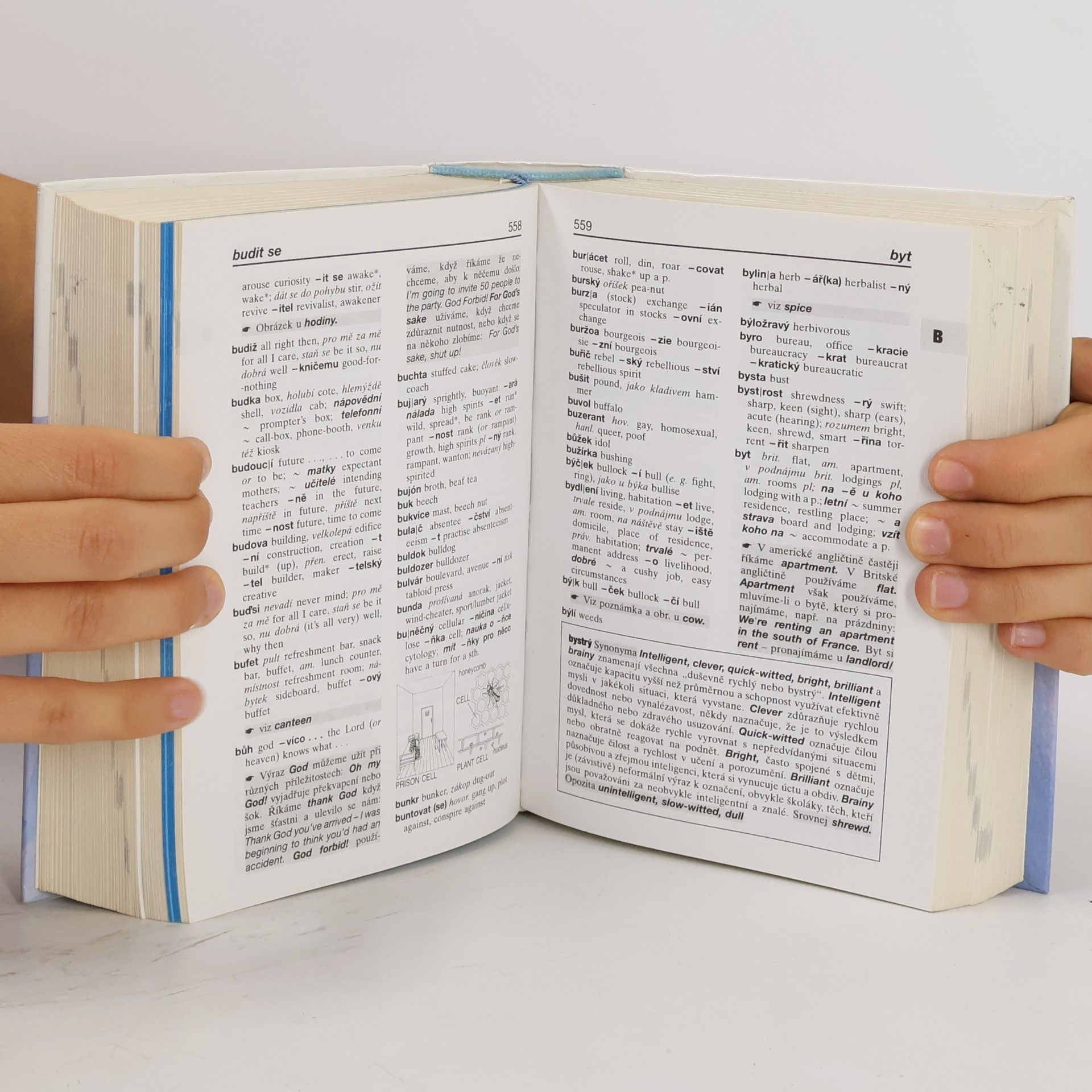 Pavel Dvorský Anglicko-český a česko-anglický slovník