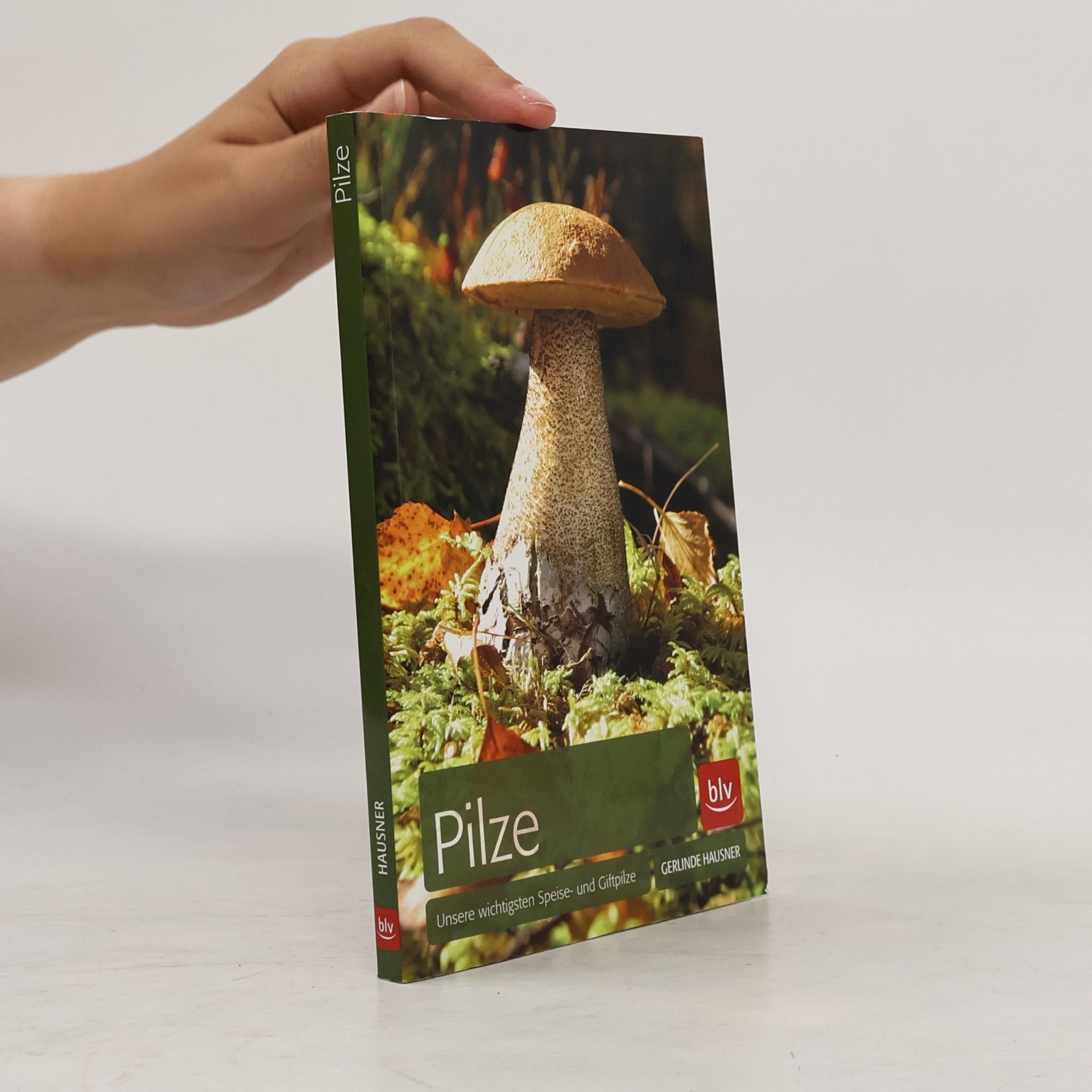 Gerlinde Hausner Pilze