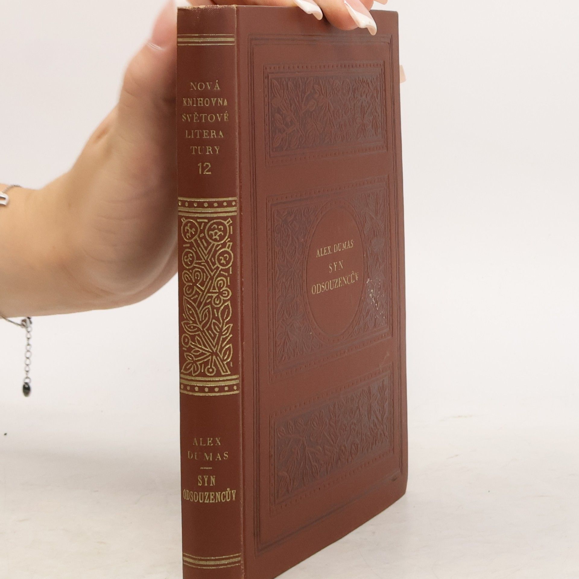 Alexandre Dumas starší Syn odsouzencův