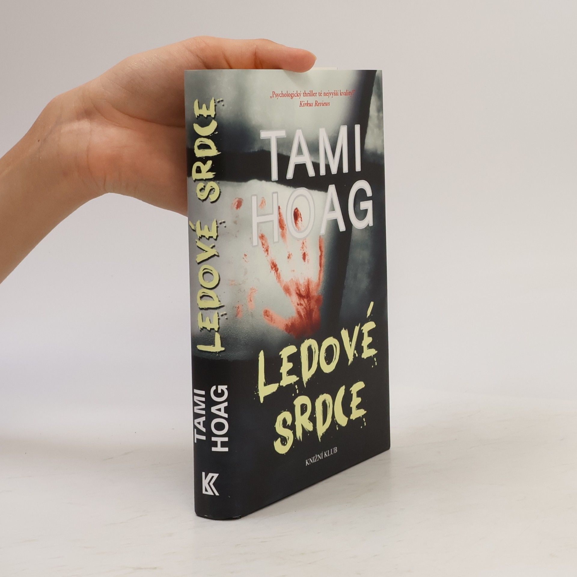 Tami Hoag Ledové srdce