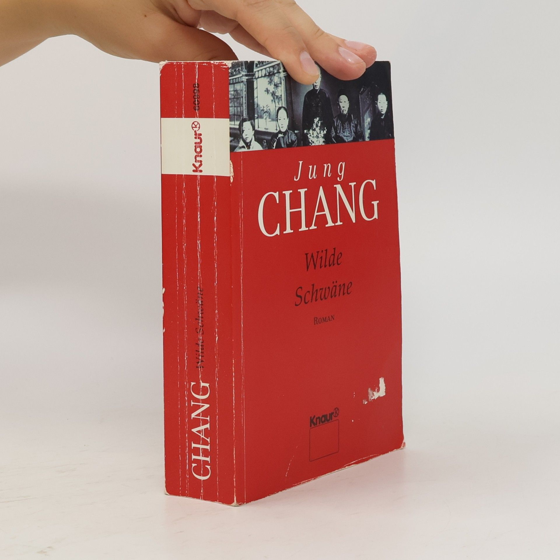 Jung Chang Wilde Schwäne