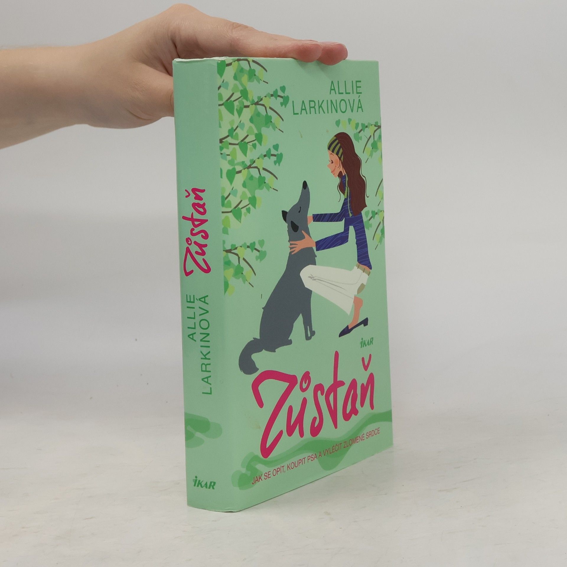 Allie Larkin Zůstaň. Jak se opít, koupit psa a vyléčit zlomené srdce