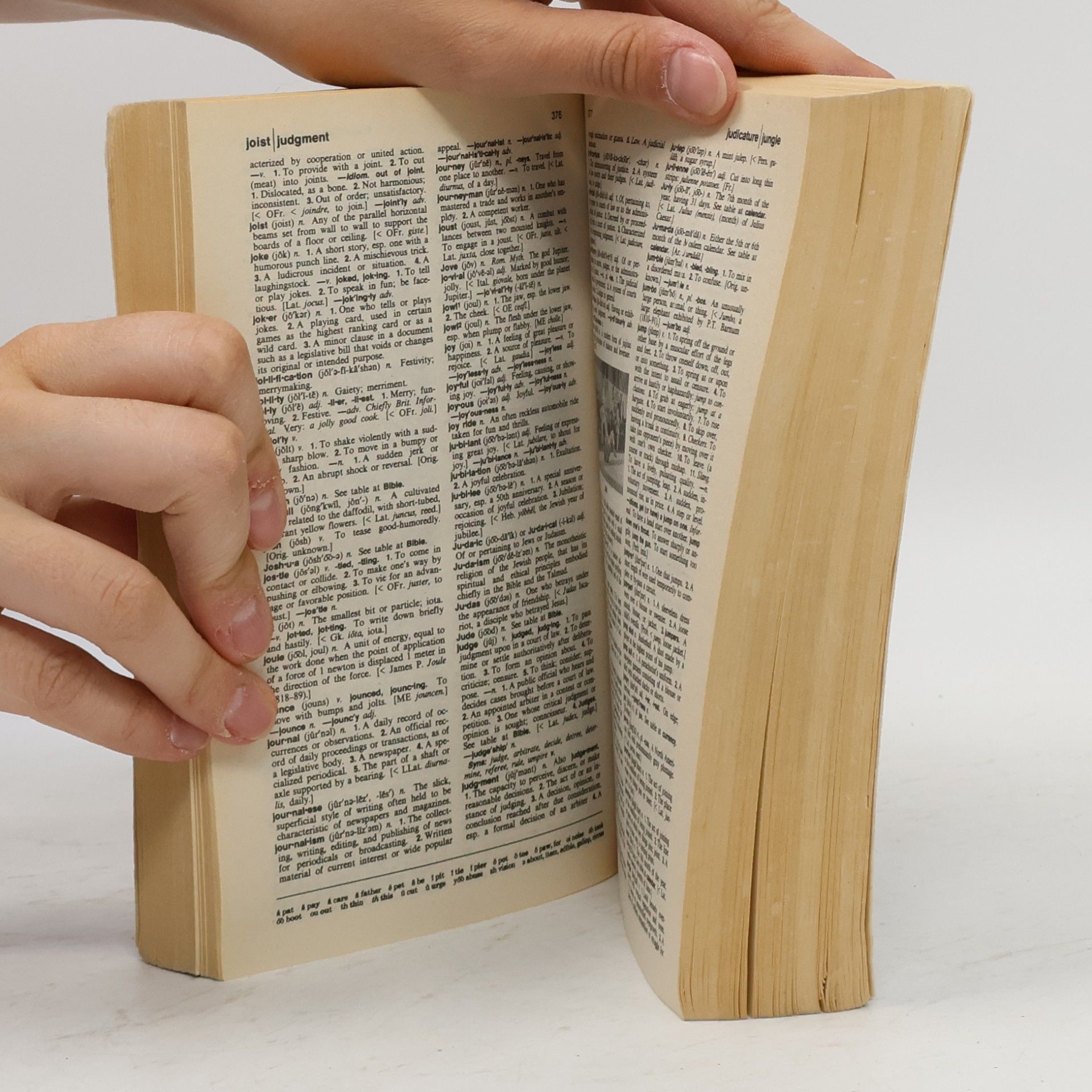 Kolektiv autorů The American heritage dictionary : based on the new second college edition