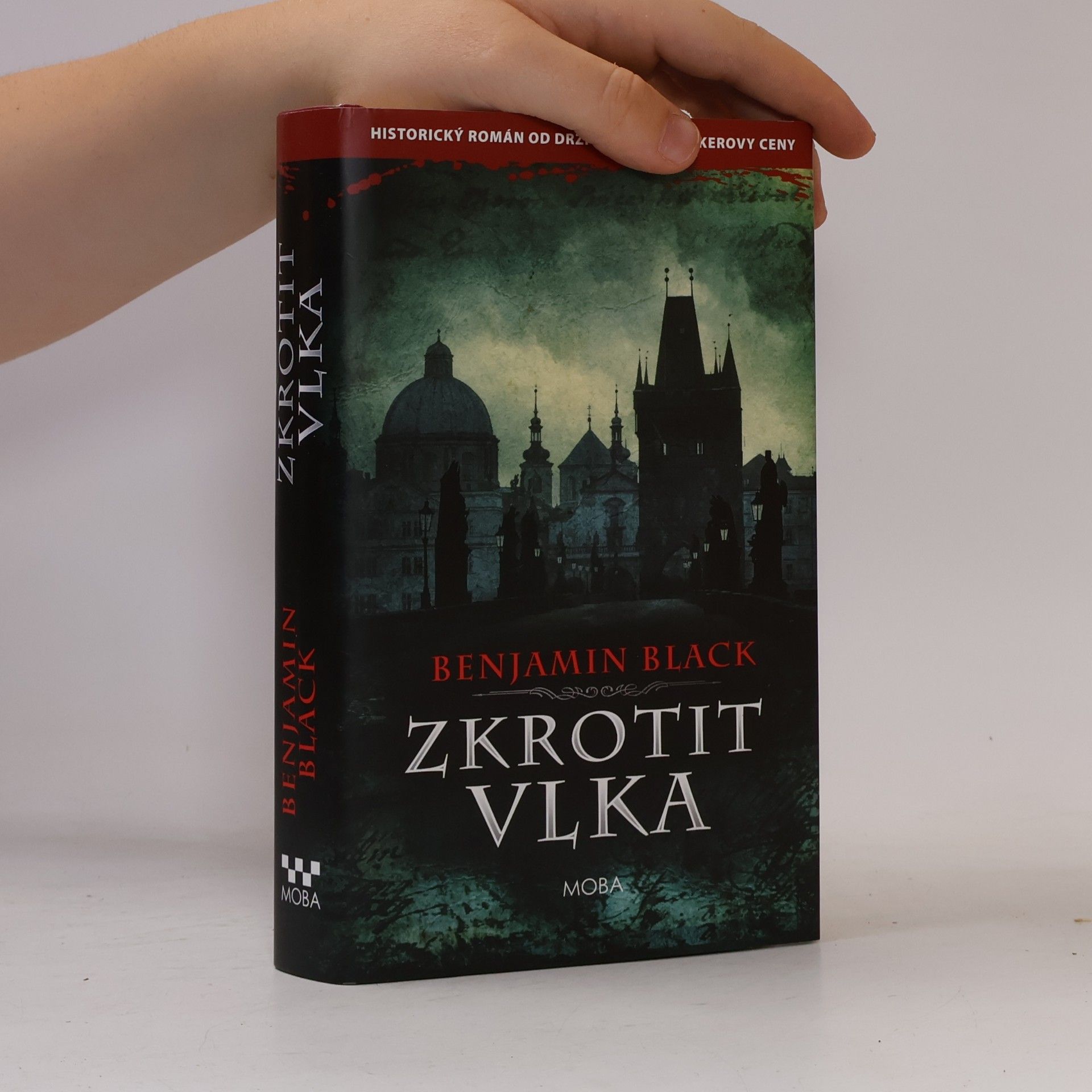 John Banville Zkrotit vlka