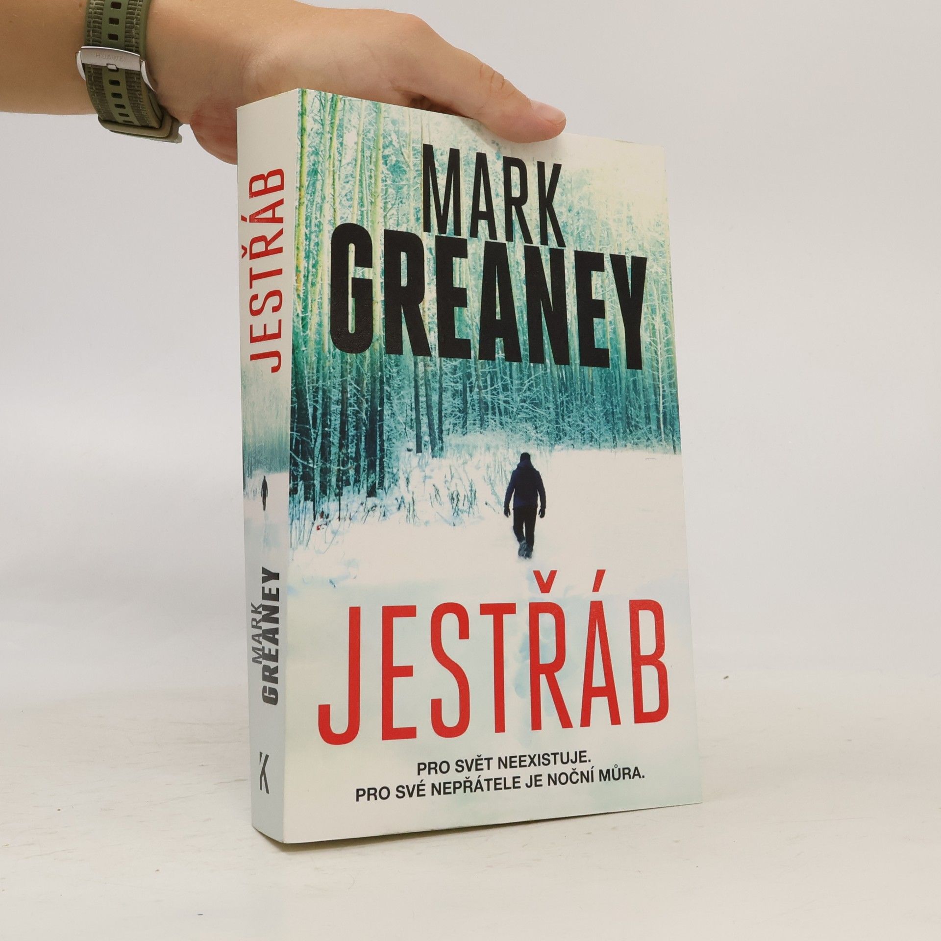 Mark Greaney Jestřáb