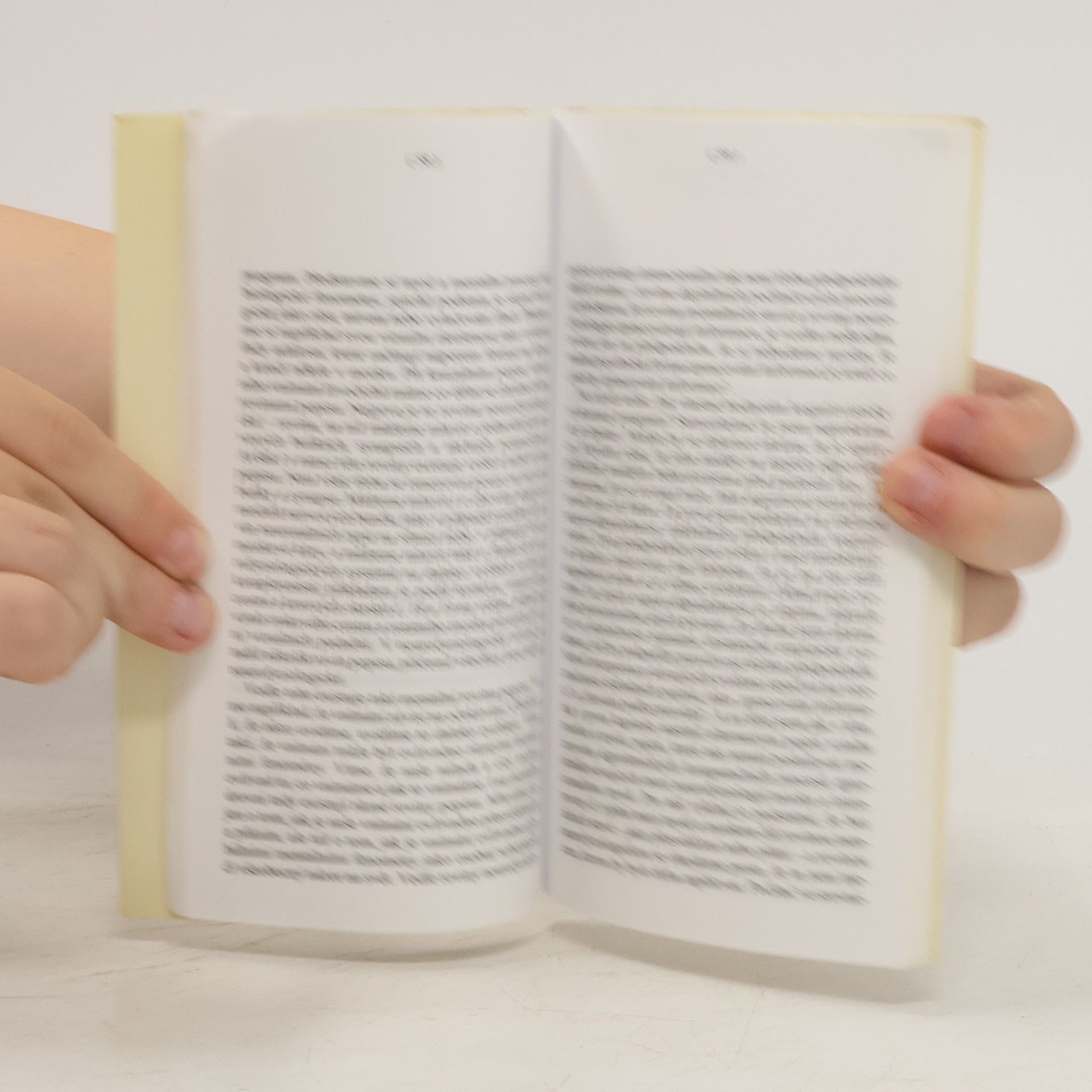 John Searle Mysl, mozek a věda