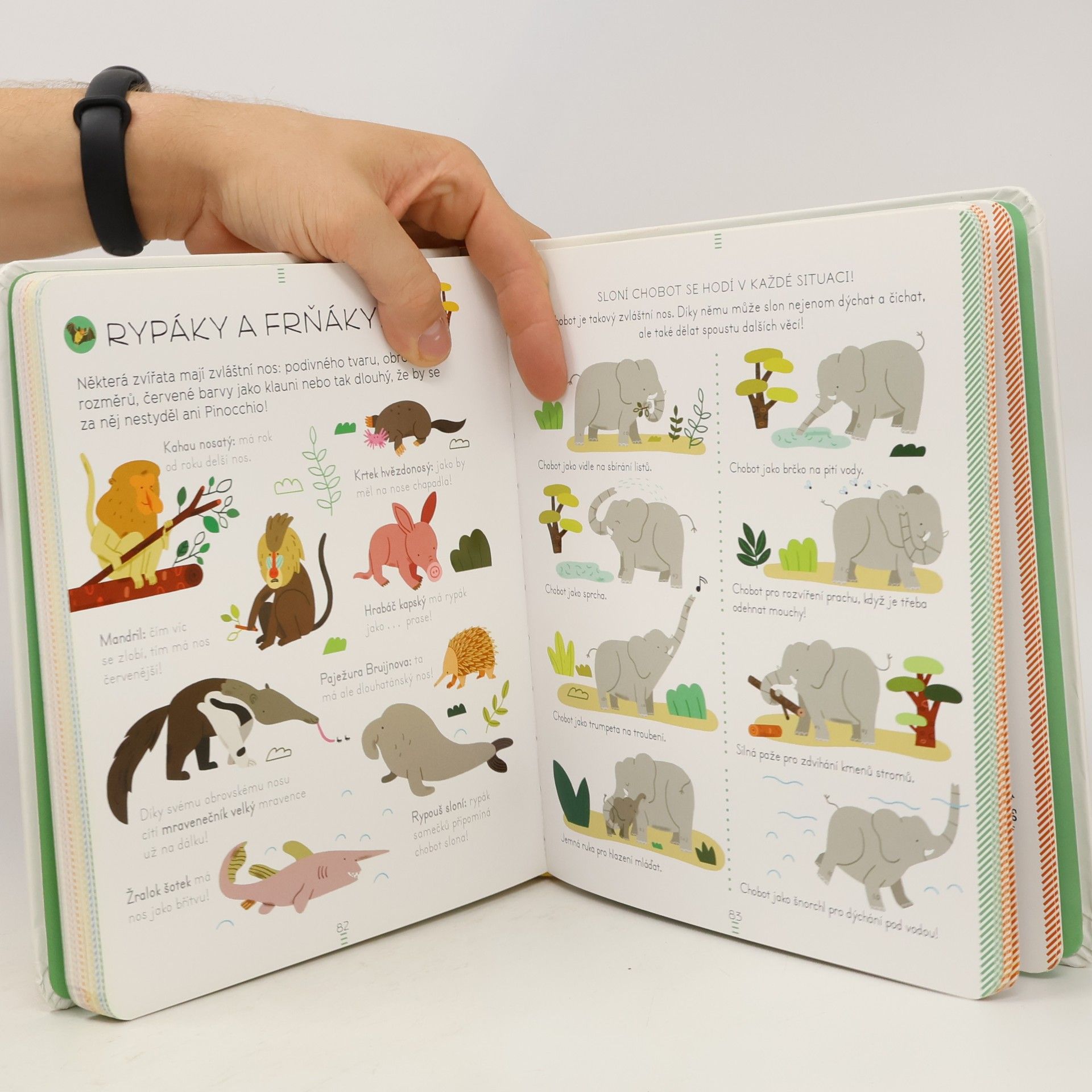 Sylvie Bézuel Zvířata: Encyklopedie Larousse