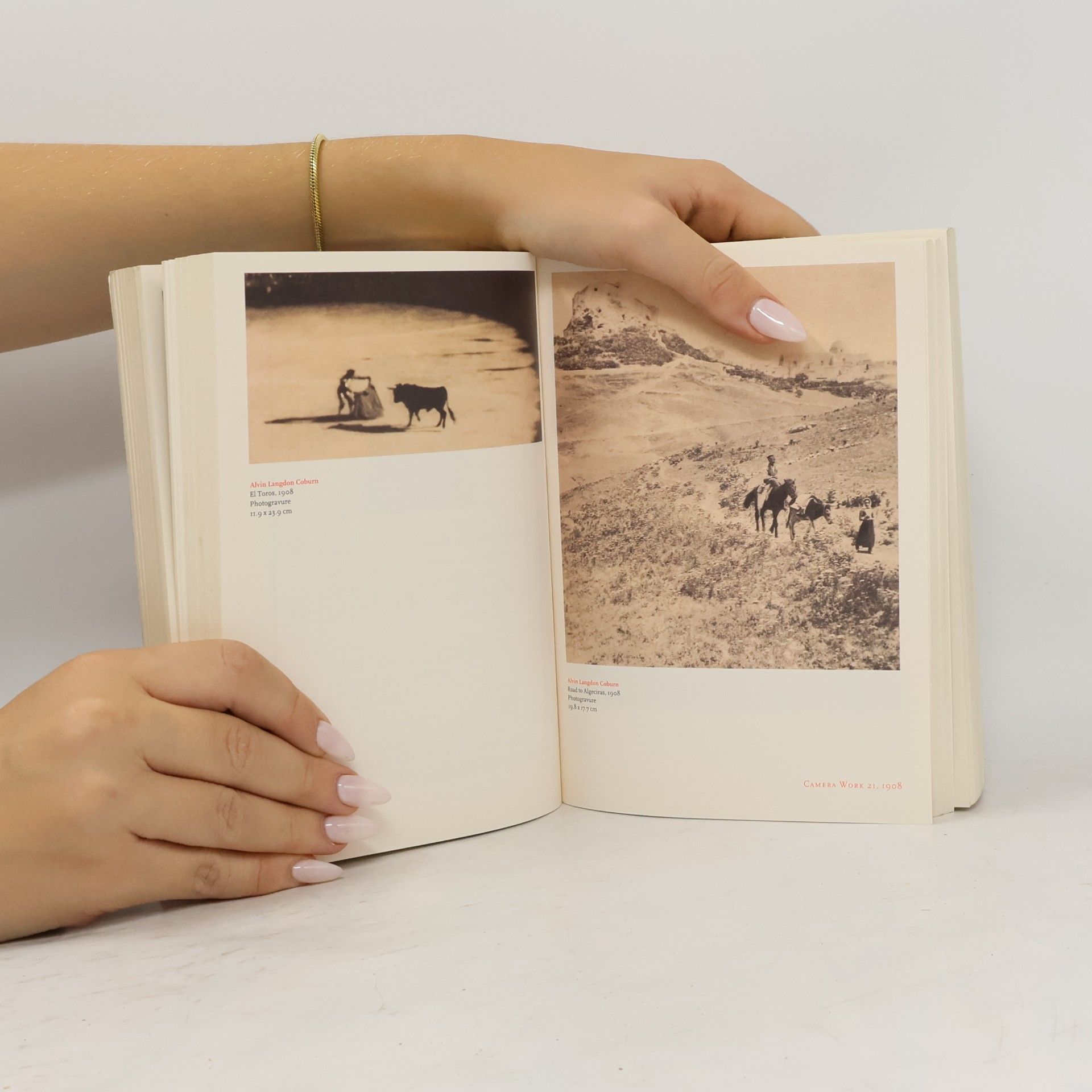 Alfred Stieglitz Camera work