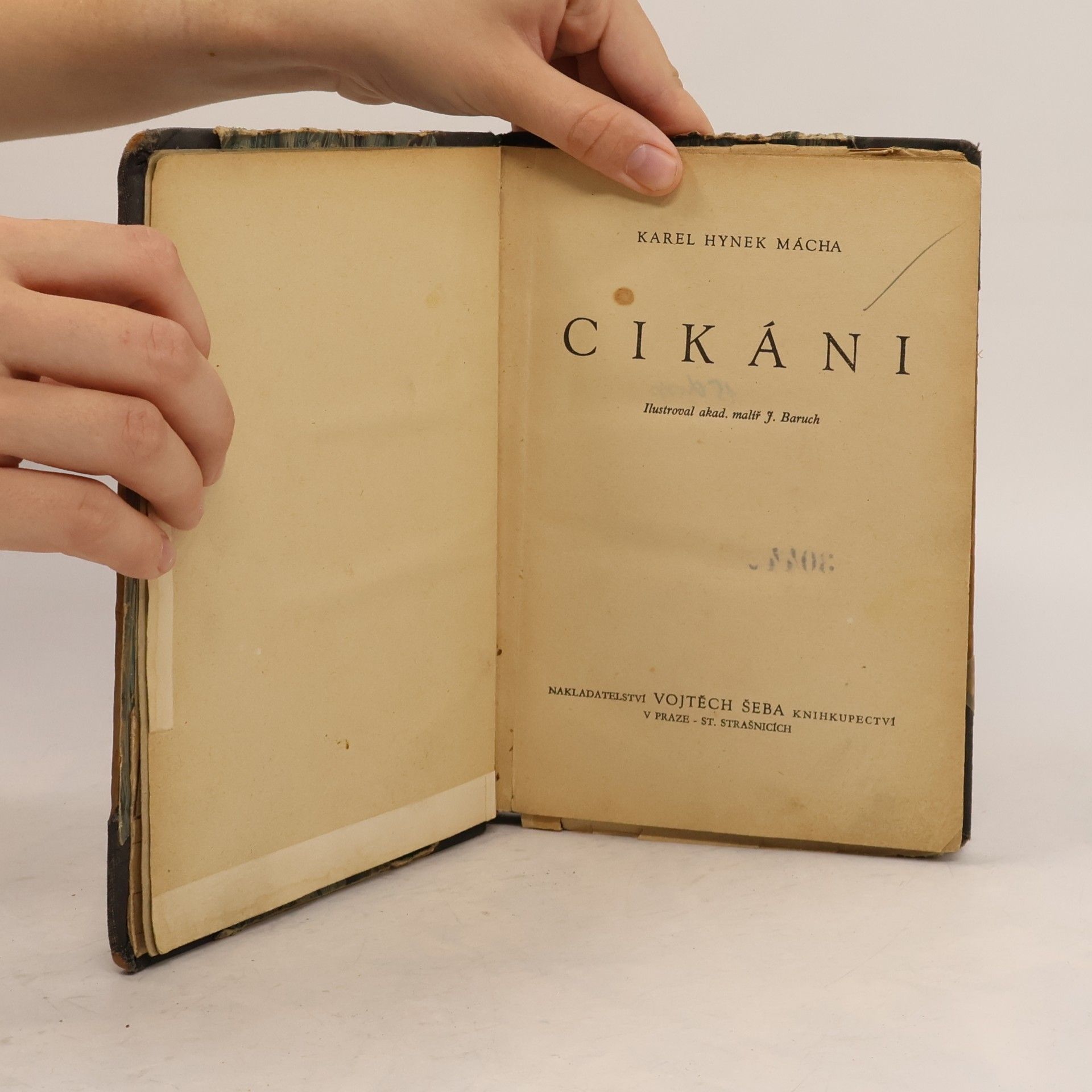 Karel Hynek Mácha Cikáni