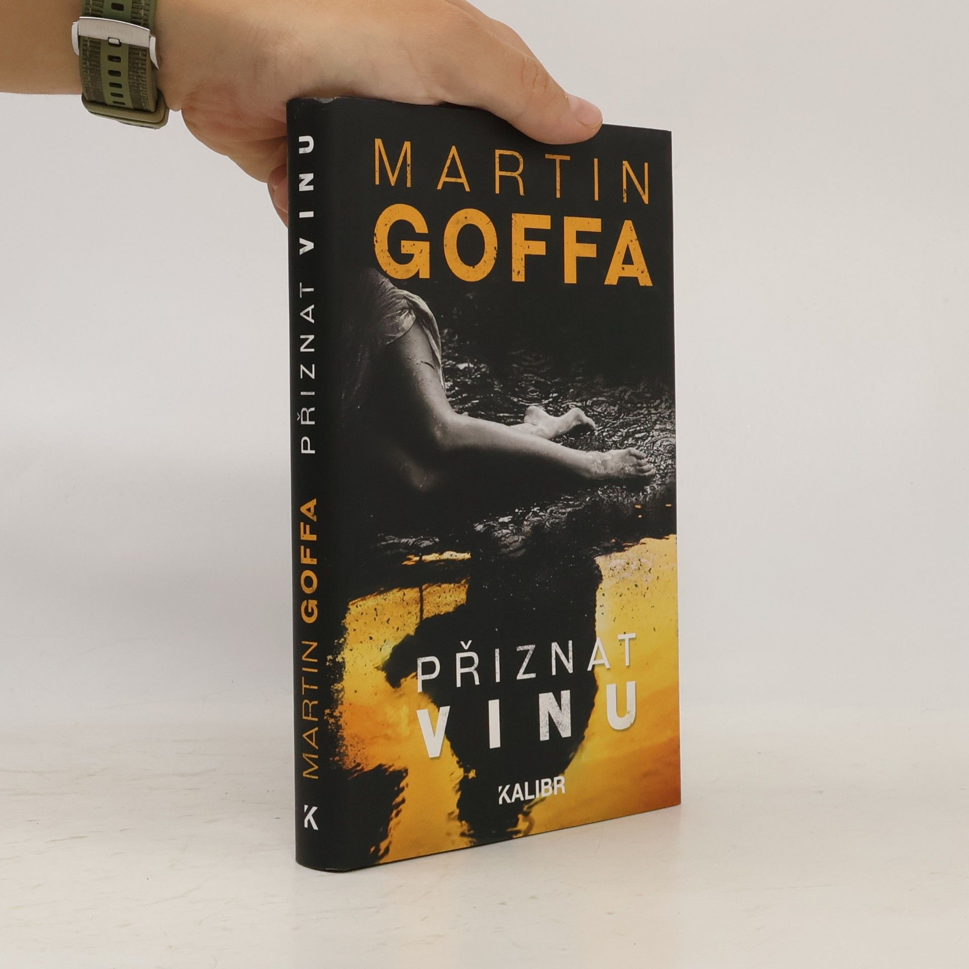 Martin Goffa Přiznat vinu