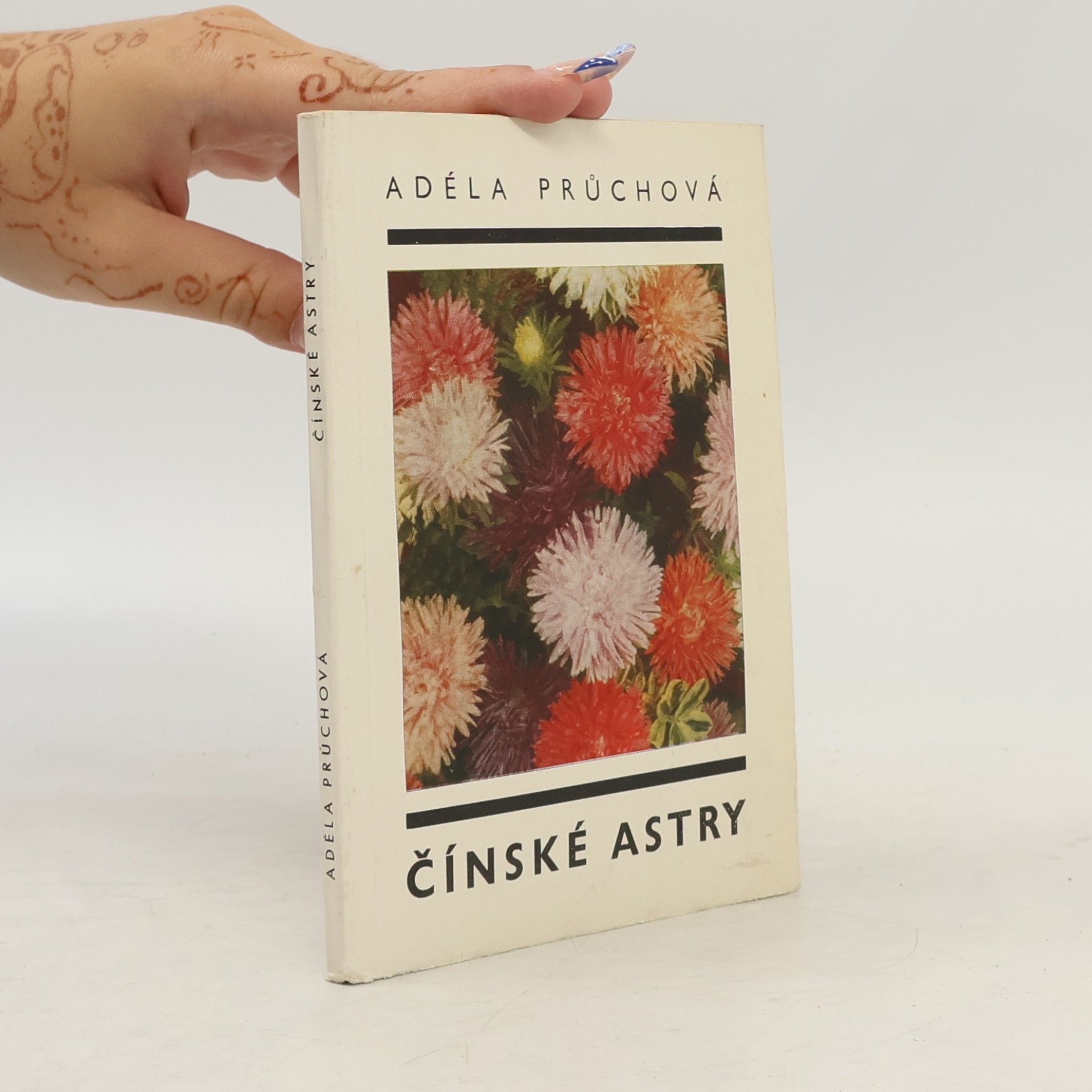 Adéla Průchová Čínske astry