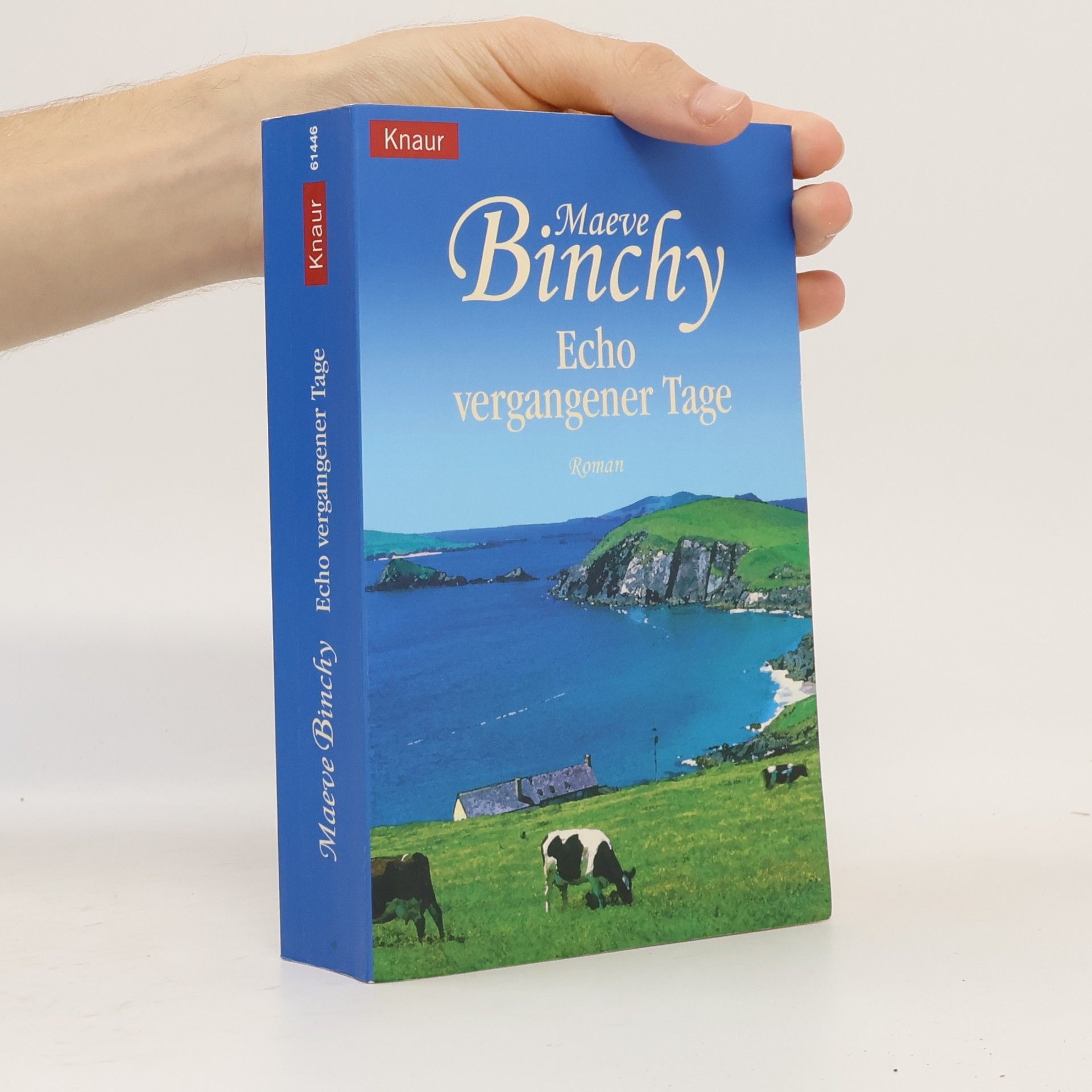 Maeve Binchy Echo vergangener Tage