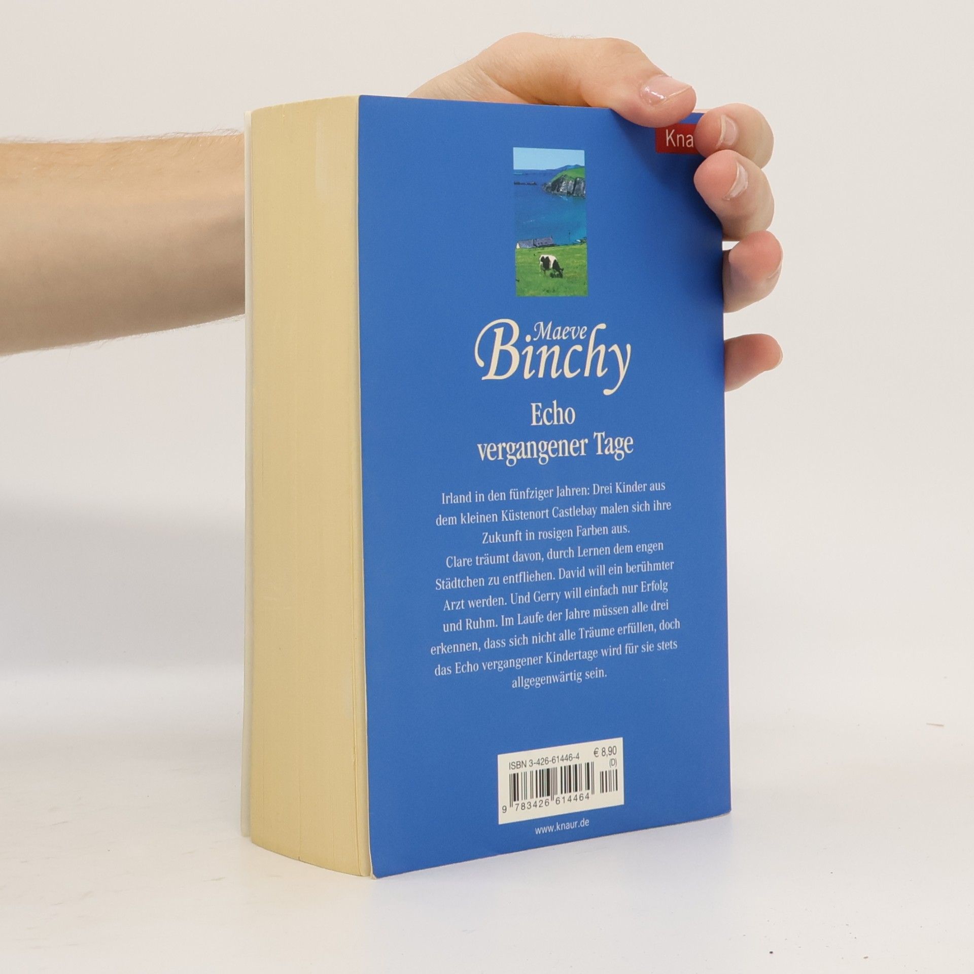 Maeve Binchy Echo vergangener Tage