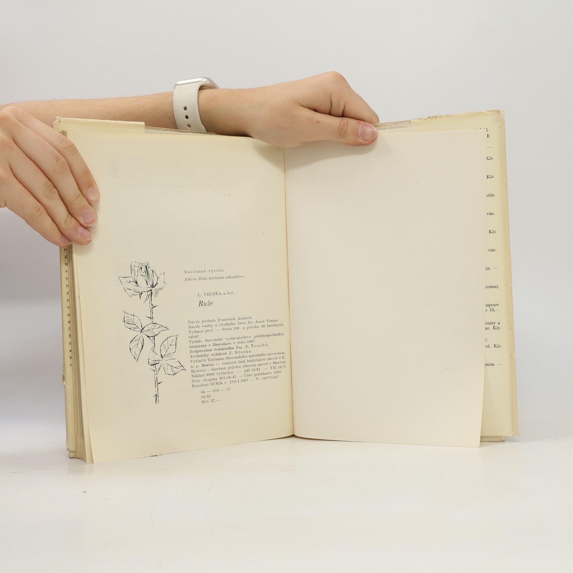 Ludvík Večeřa Ruže