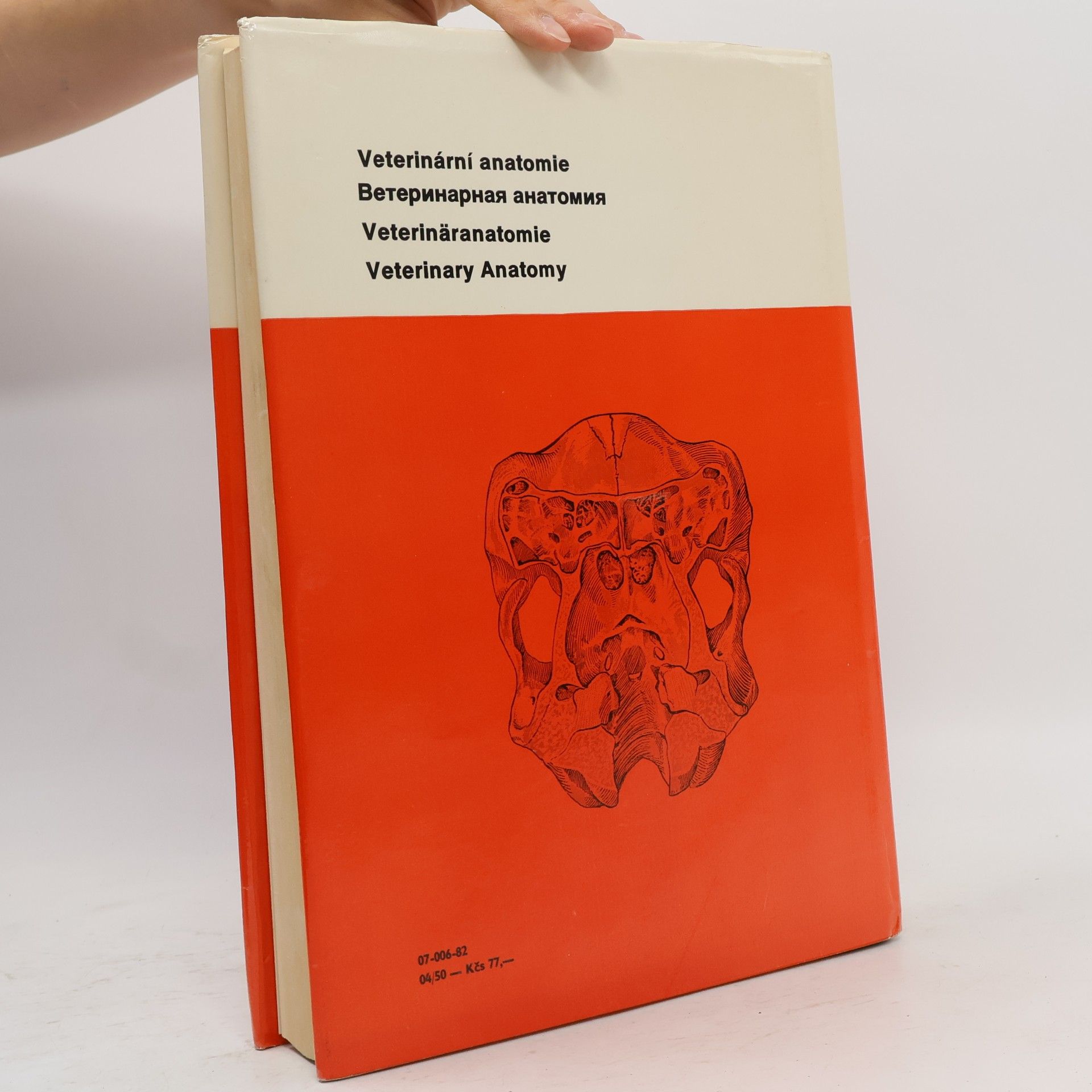 Radim Najbrt Veterinární anatomie 2