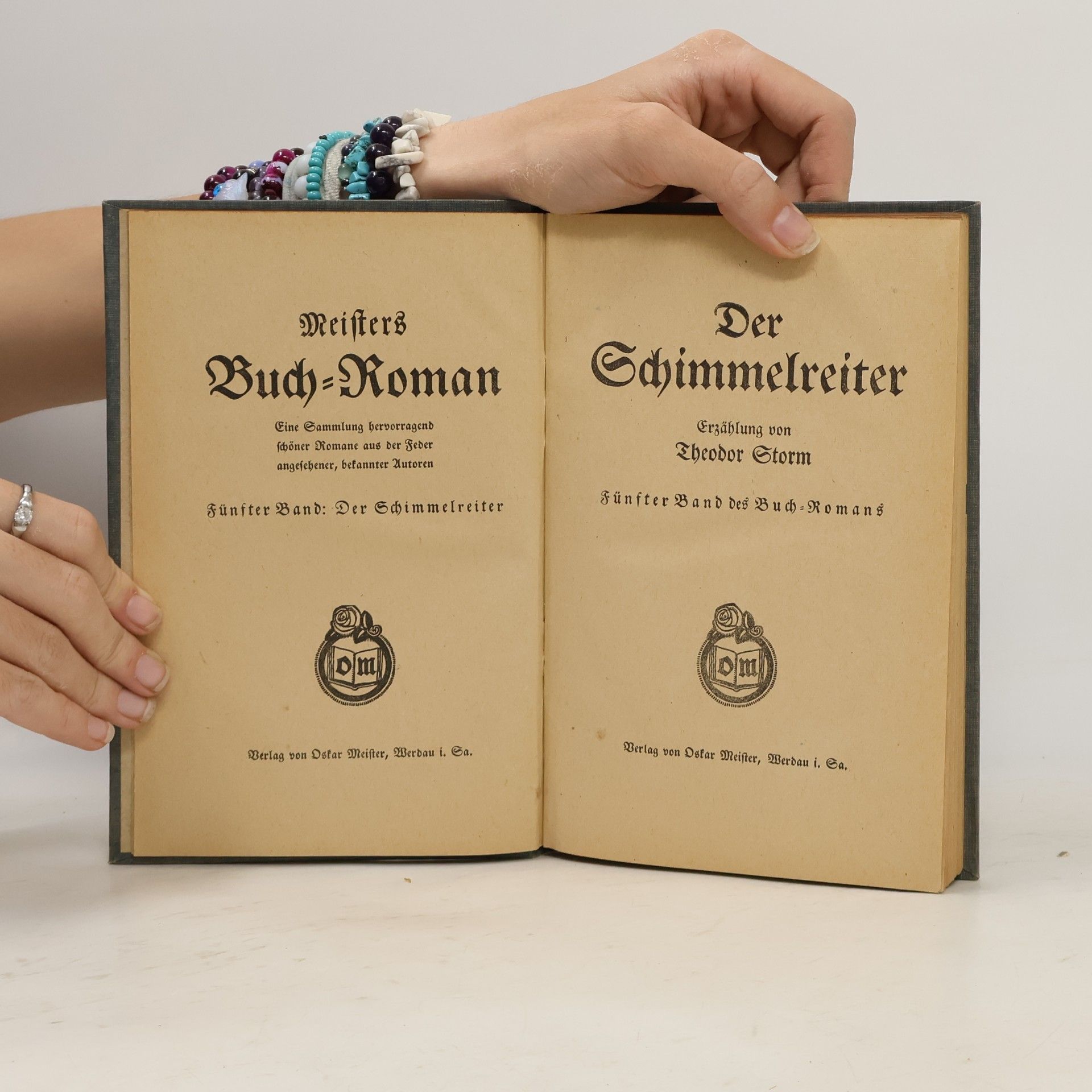 Theodor Storm Der Schimmelreiter