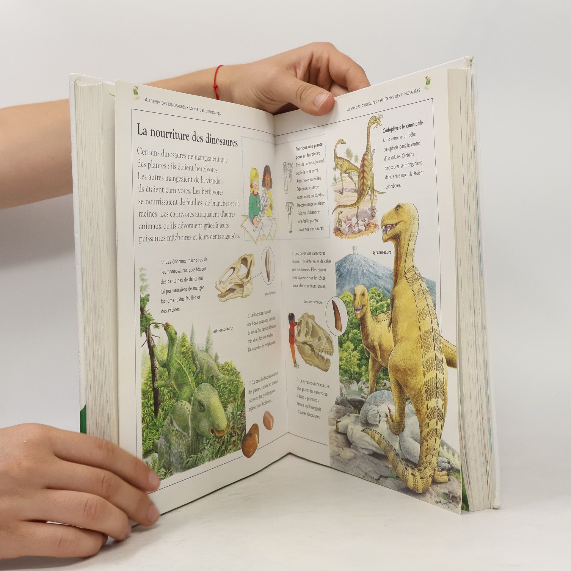 Michael J. Benton La Grande Encyclopédie des enfants