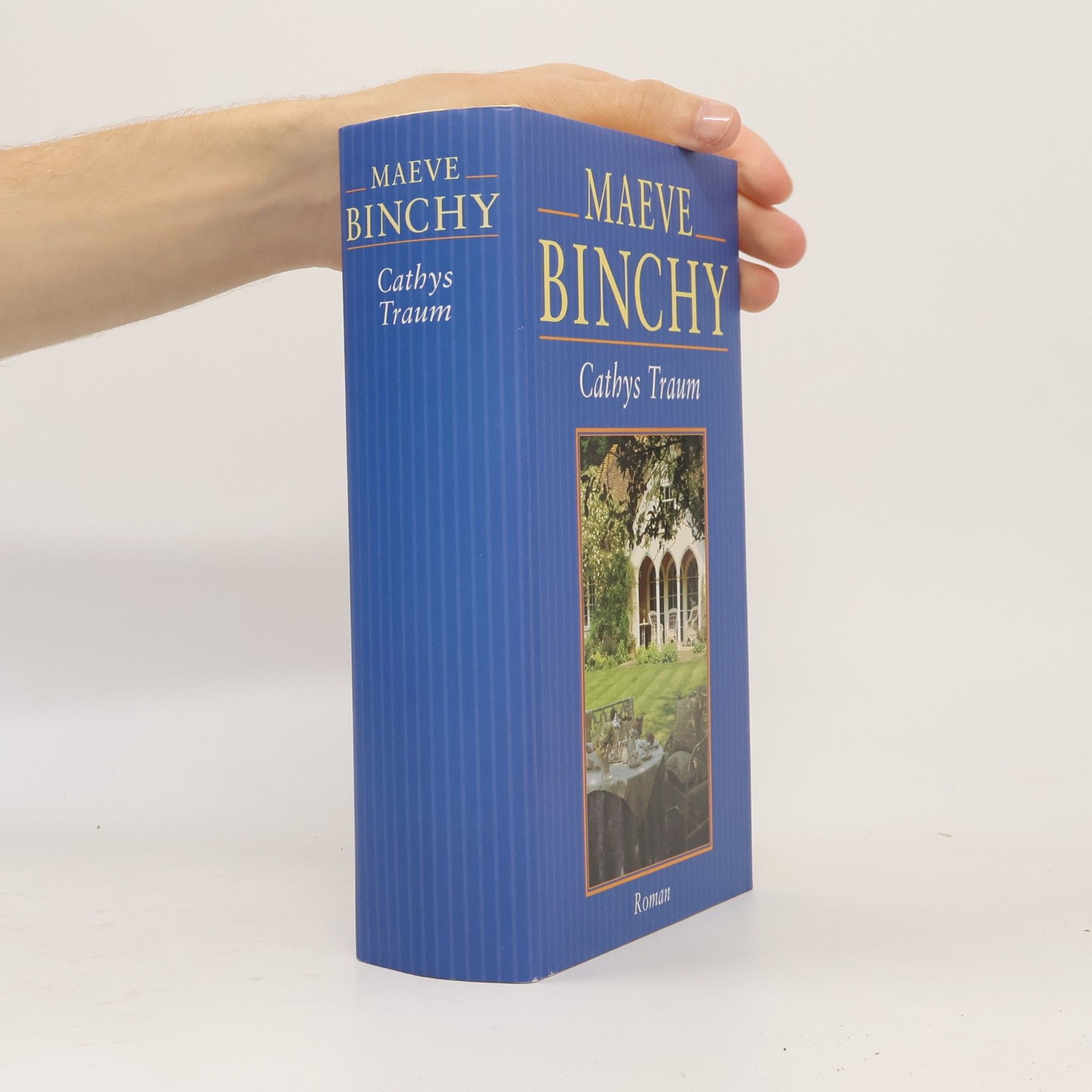 Maeve Binchy Cathys Traum