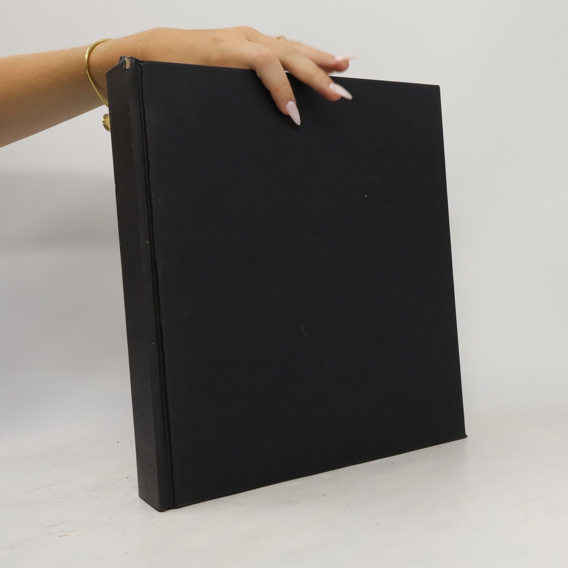 Tomáš Dalibor The Art book : Encyklopedie výtvarného umění