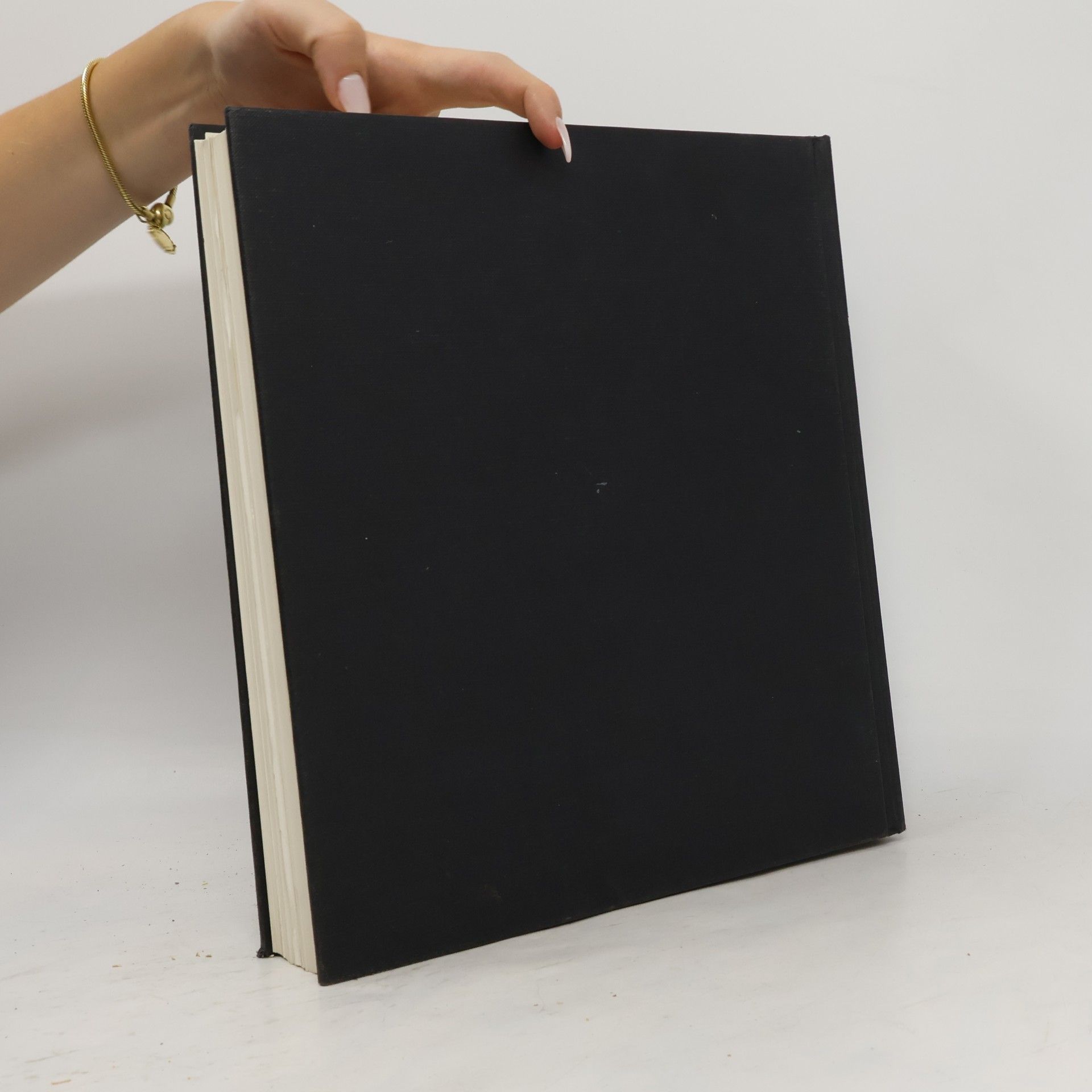 Tomáš Dalibor The Art book : Encyklopedie výtvarného umění